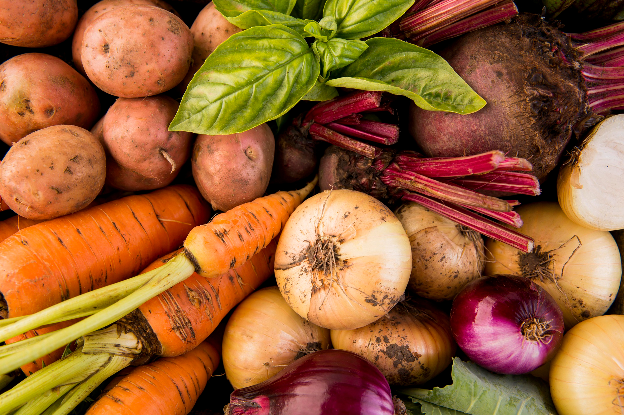 root vegetables