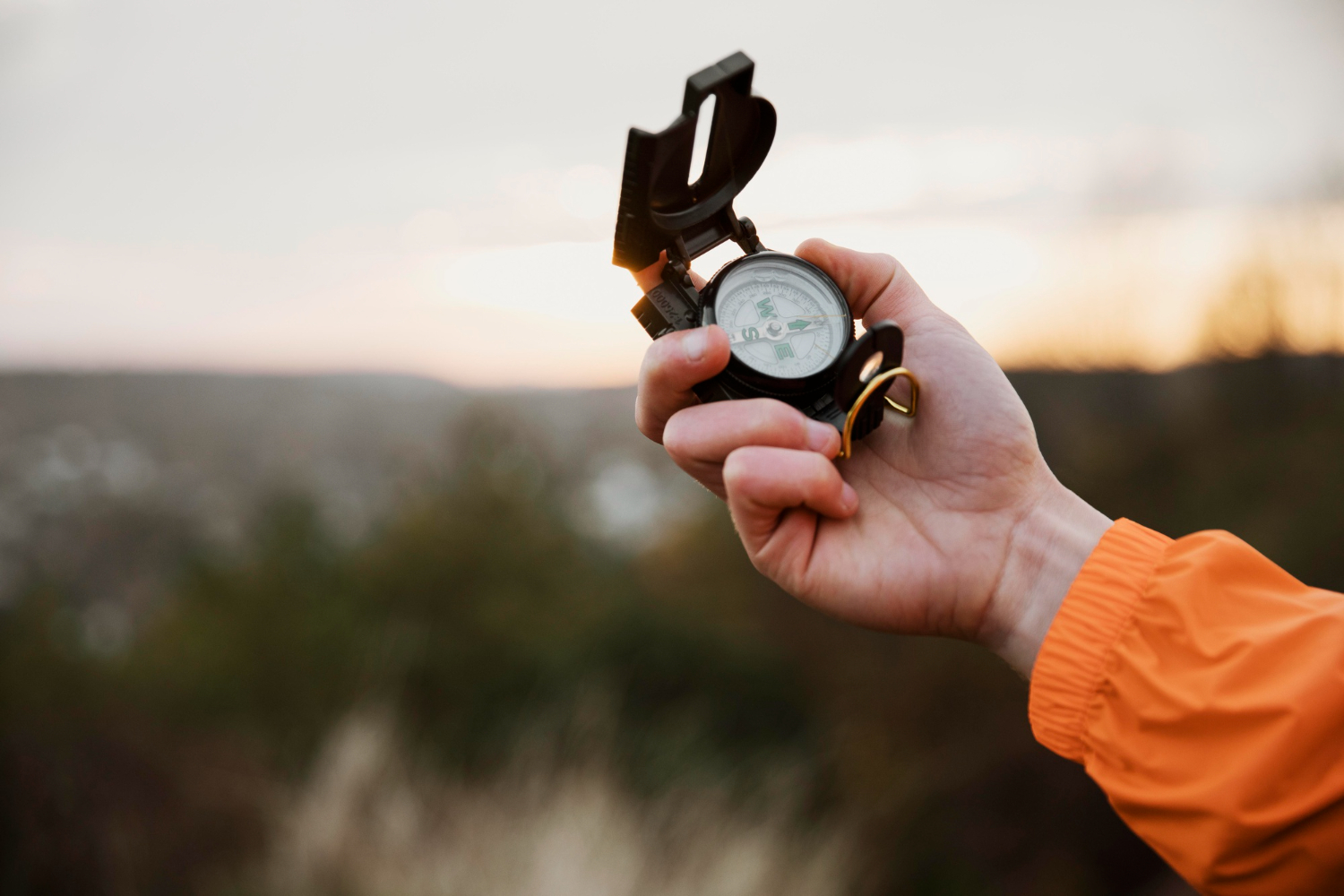 compass needle