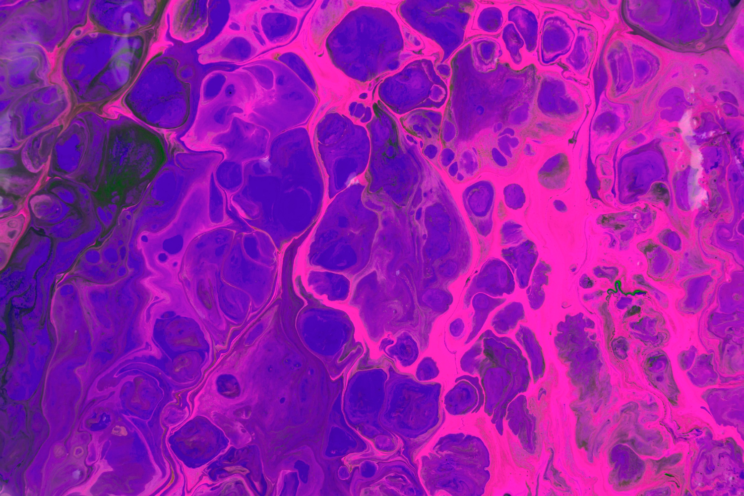 Ultraviolet Patterns