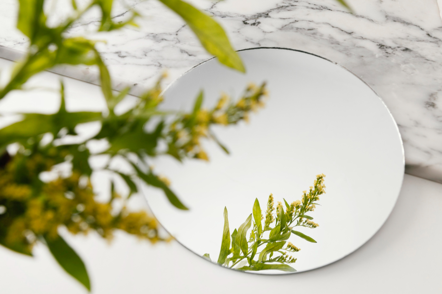 mirror reflection