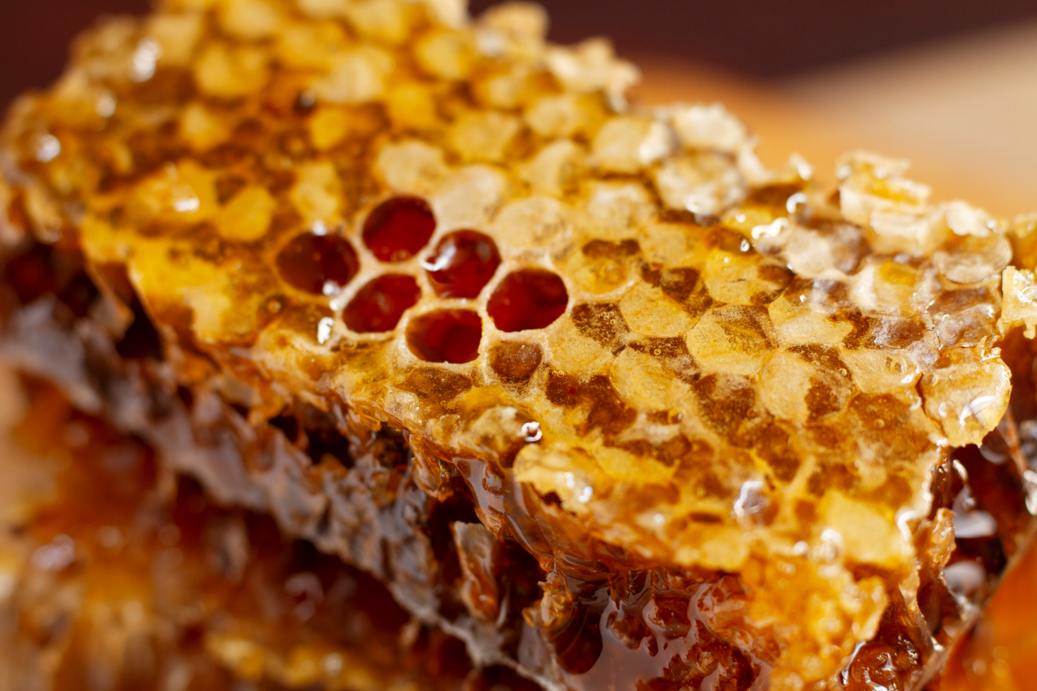 honeycomb cells