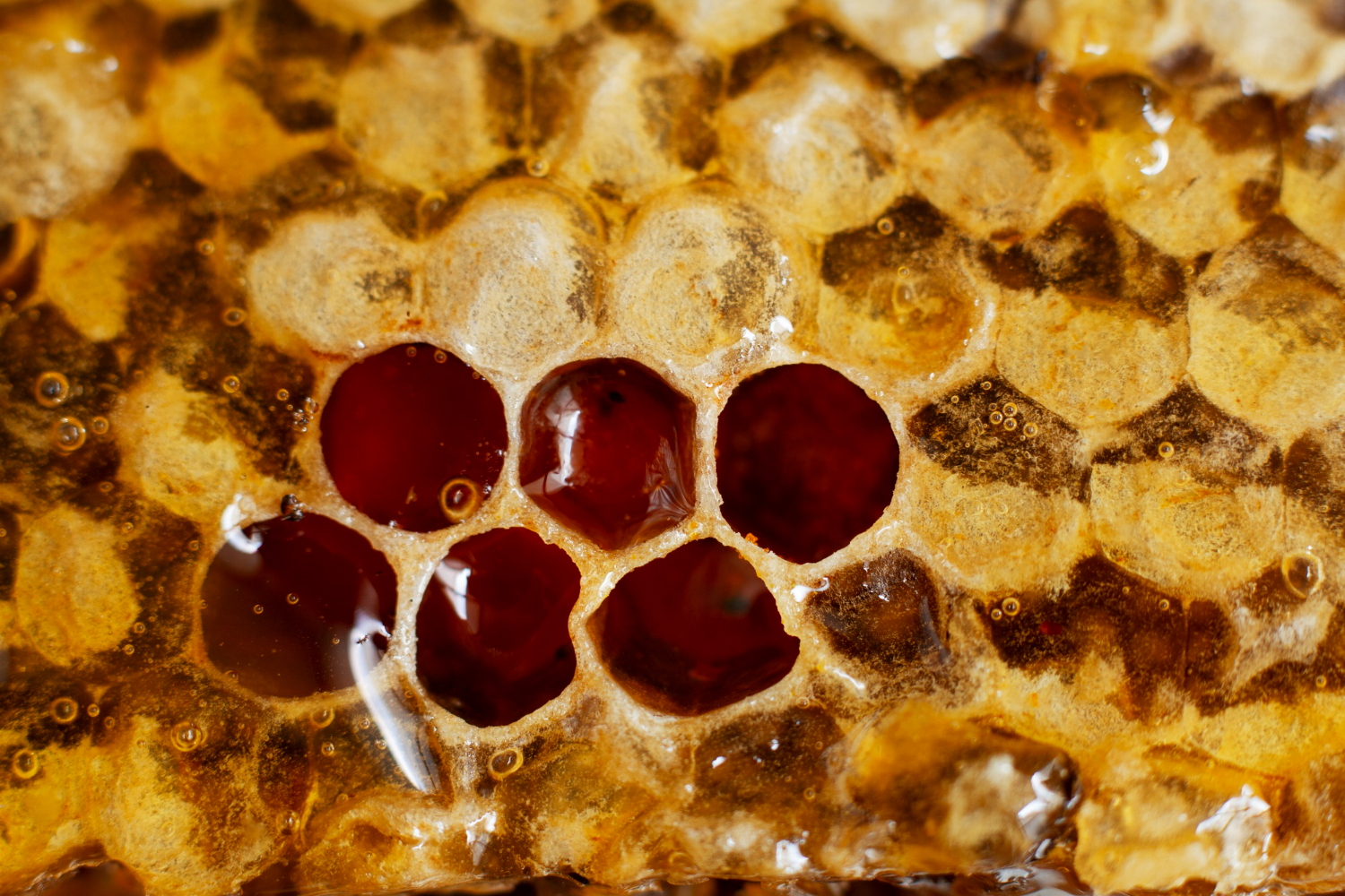honeycomb cells