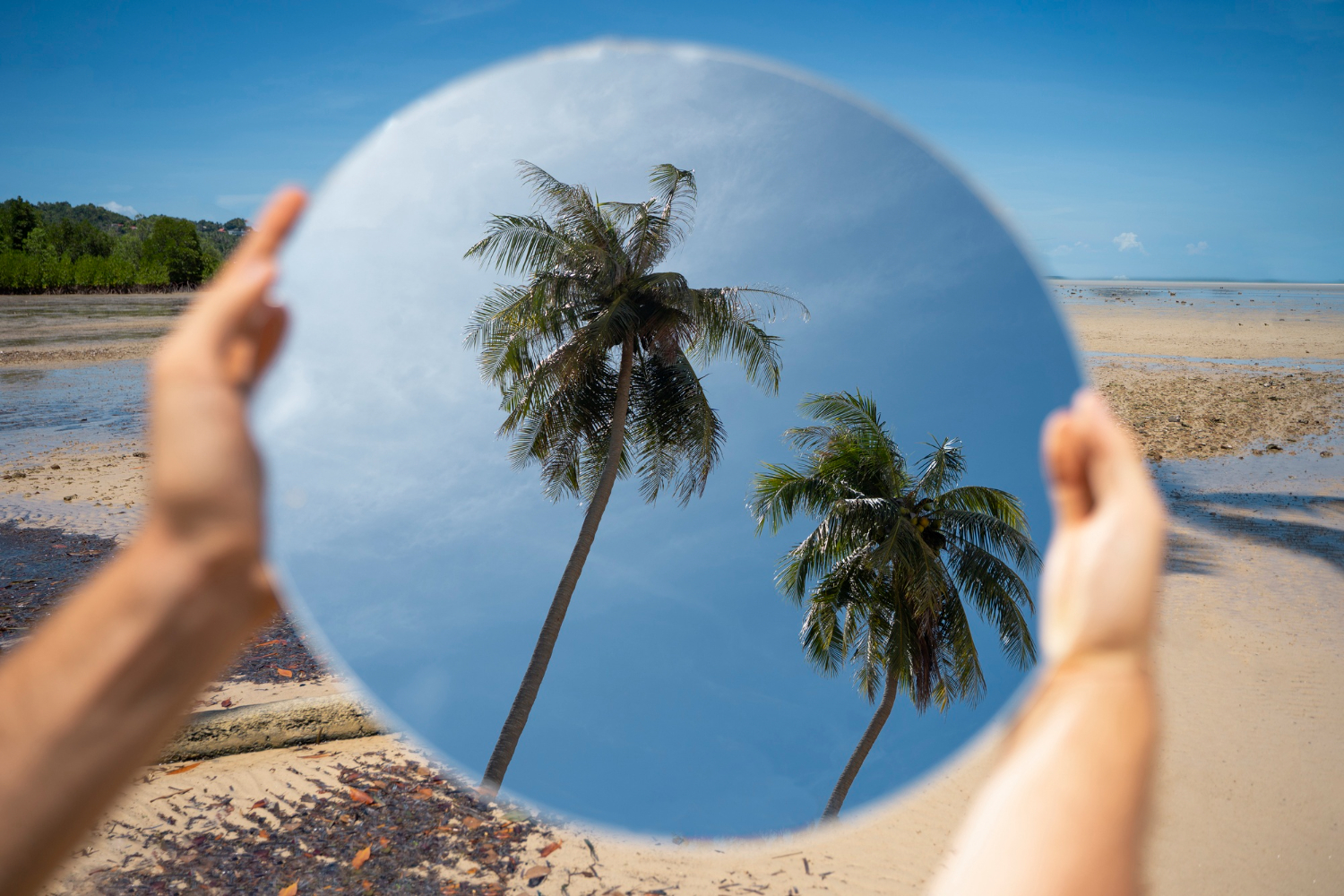 mirror reflection
