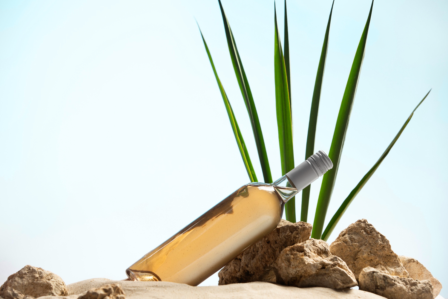 Agave Syrup