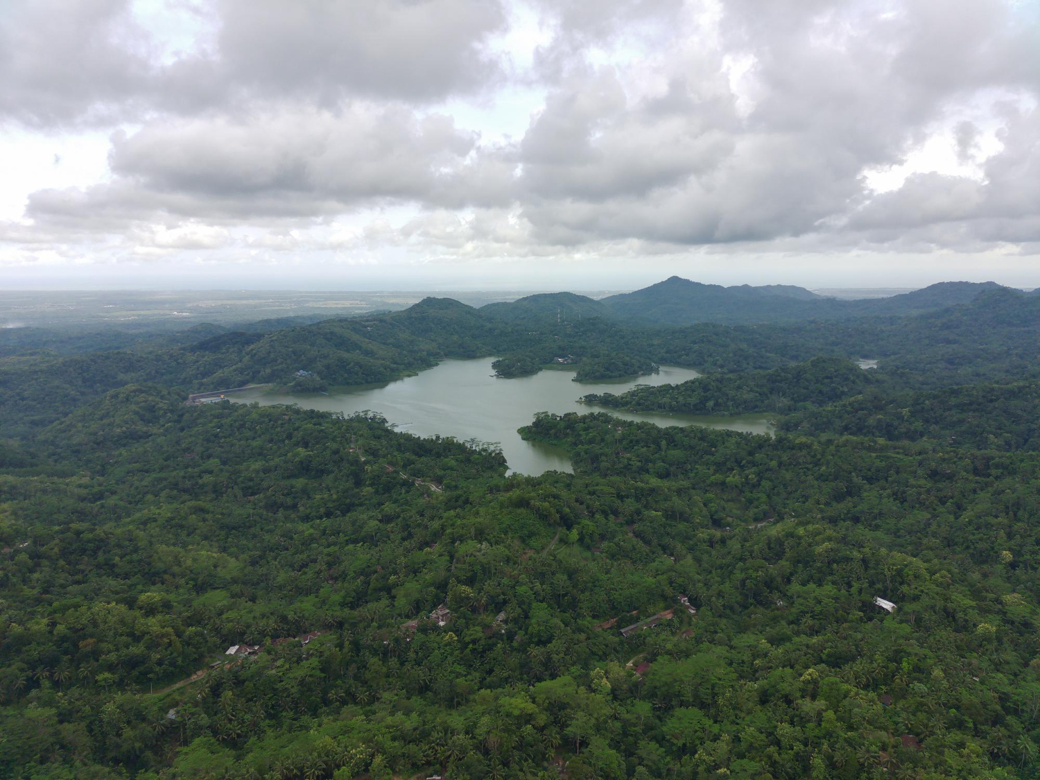Amazon River aerial rainforest