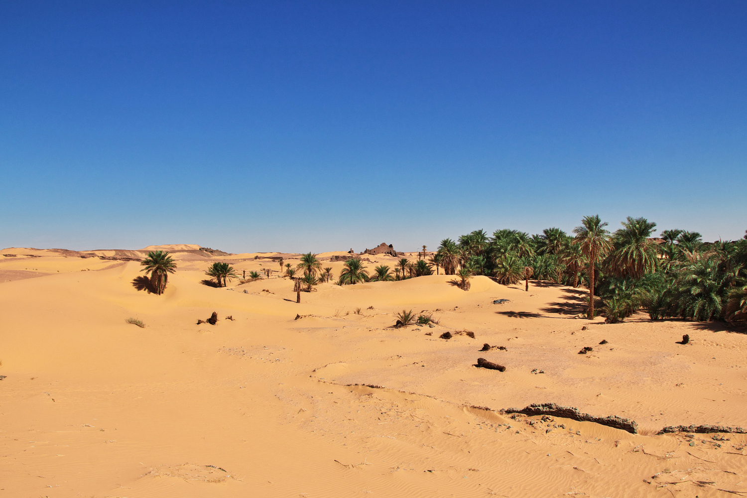 Sahara desert