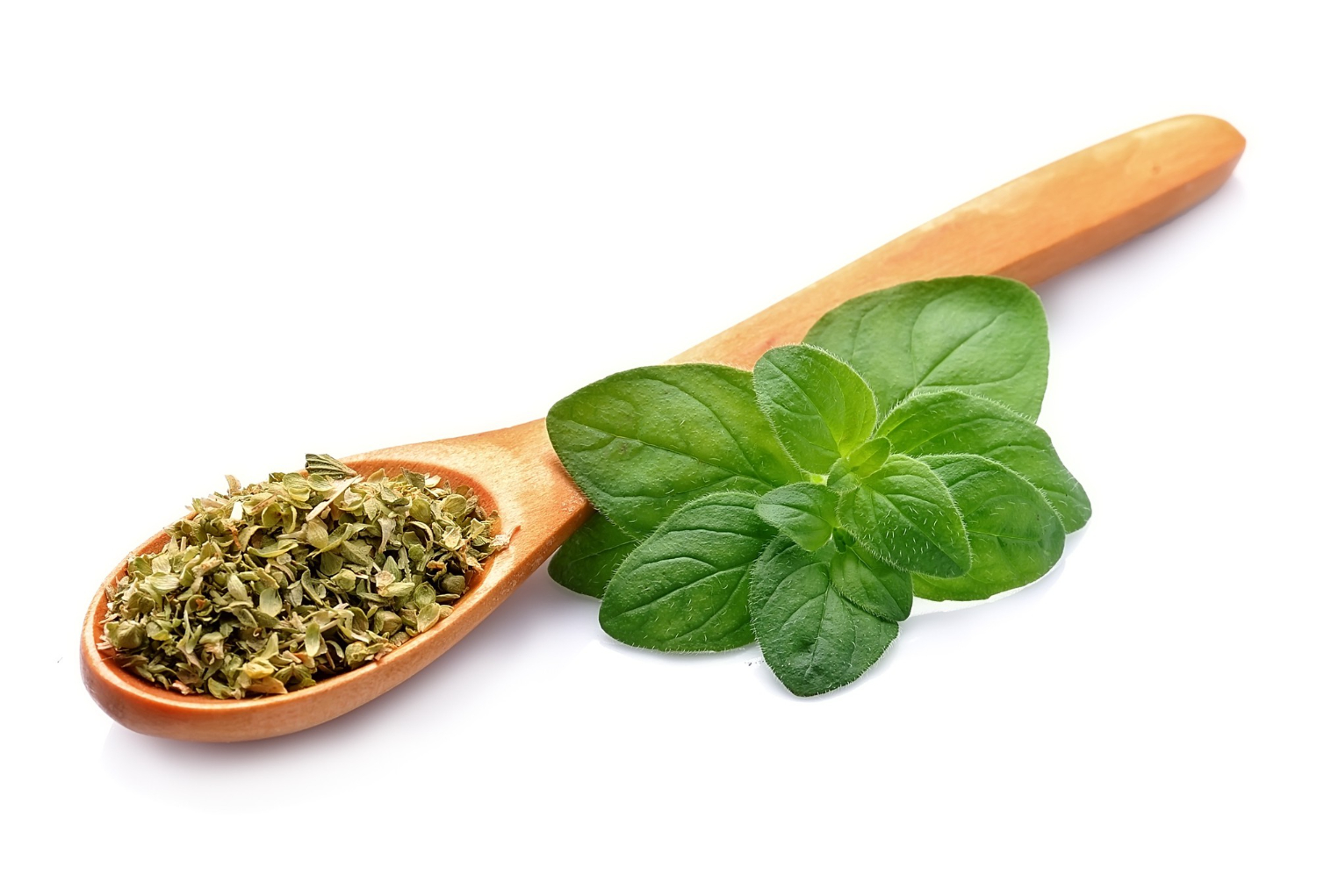 Oregano