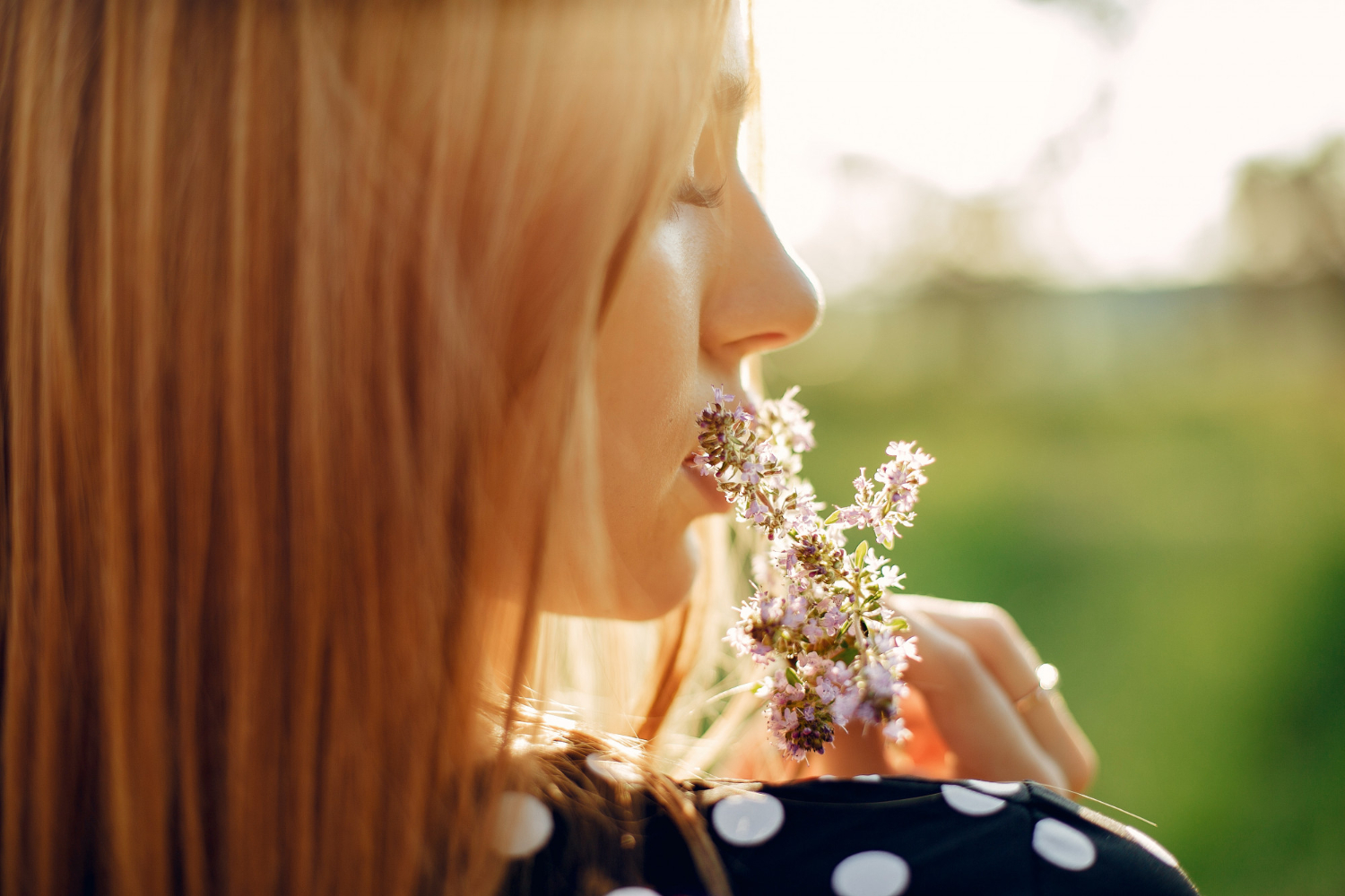 Smell