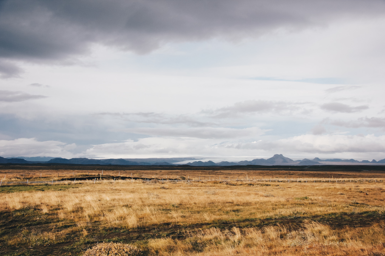 grassland