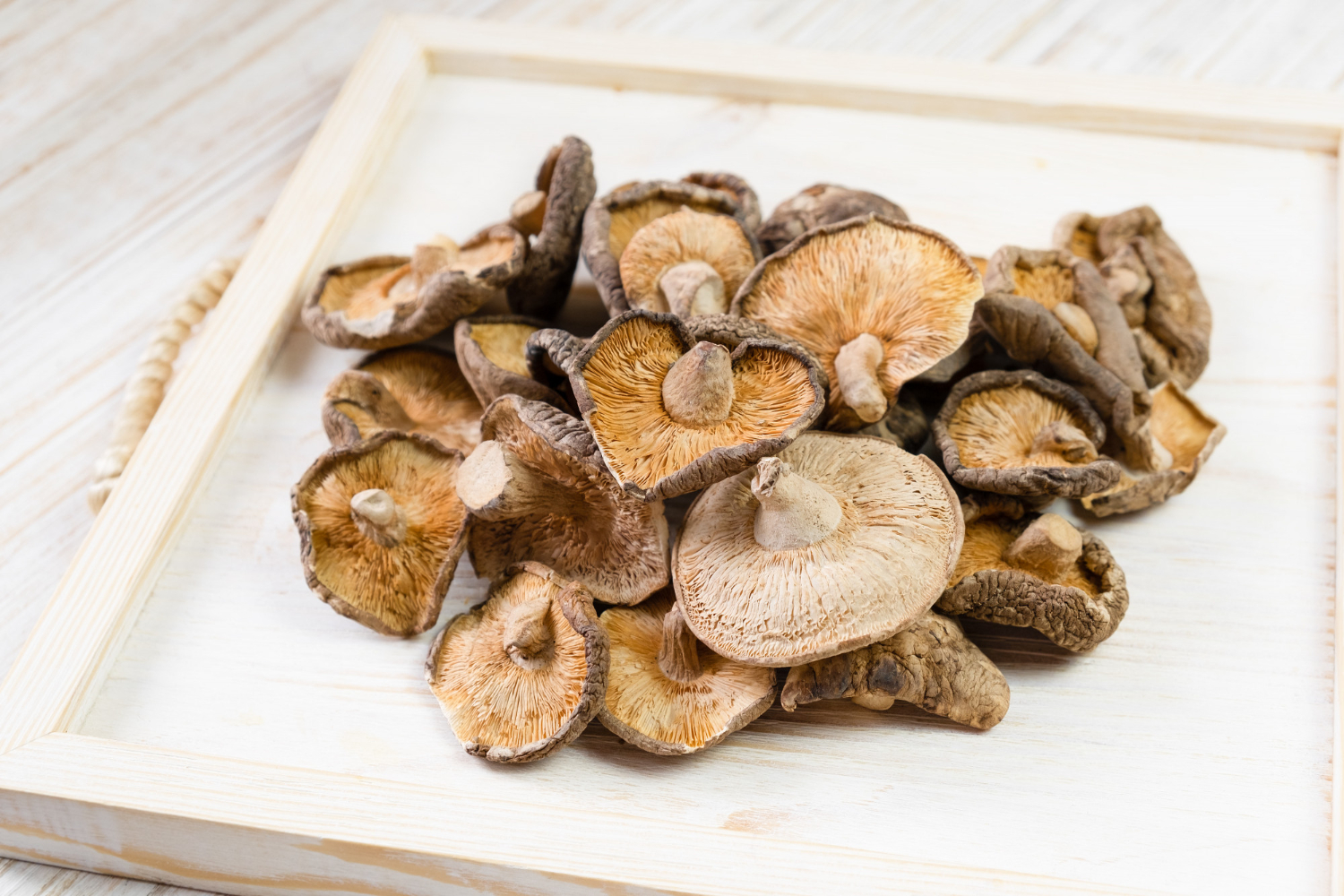 mushrooms