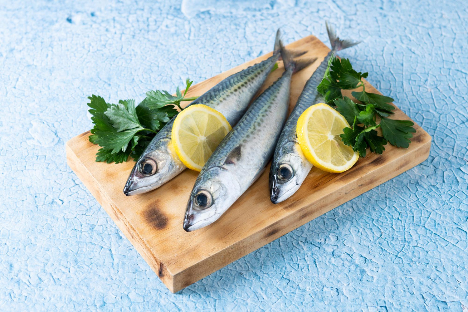 Sardine