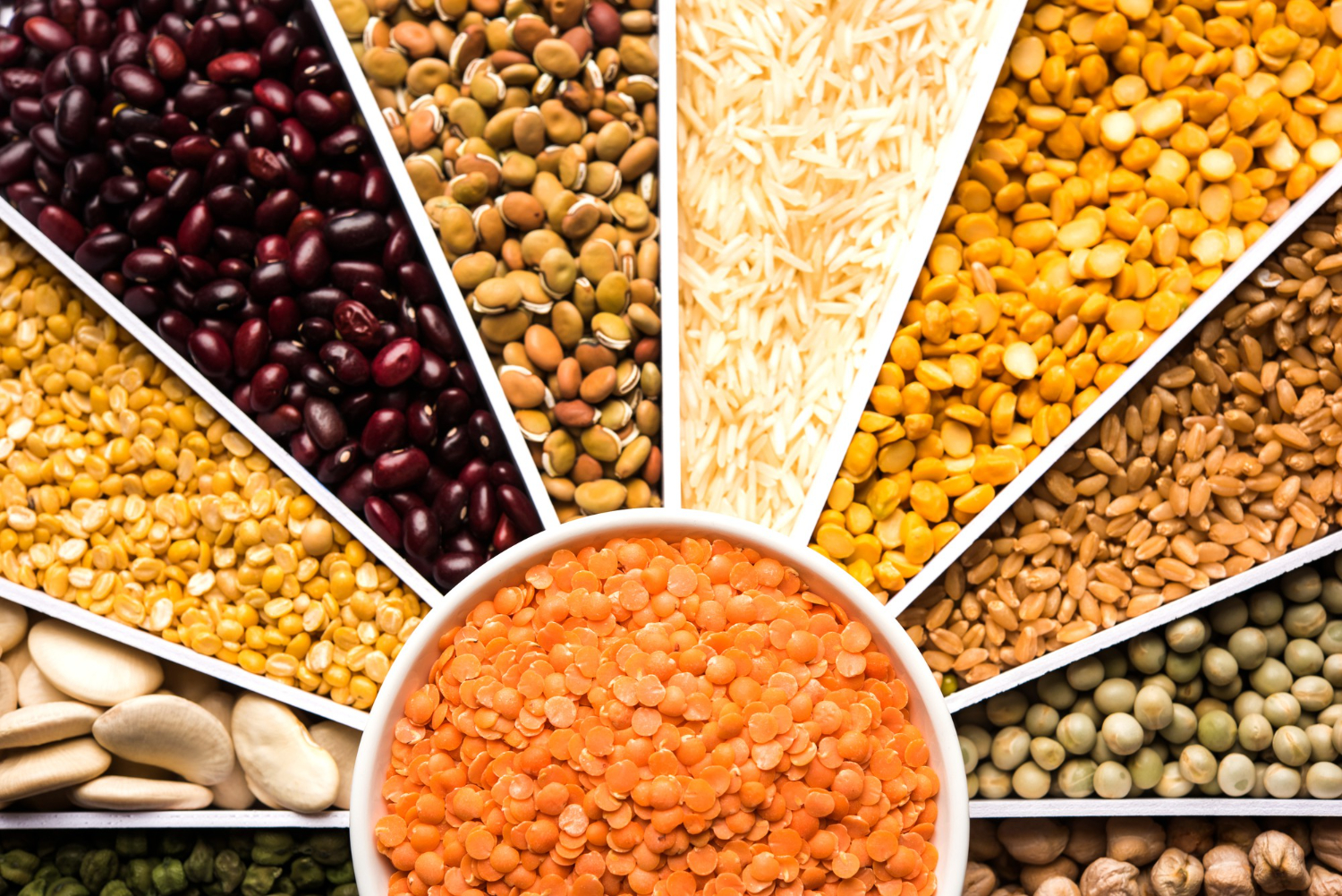 beans pulses