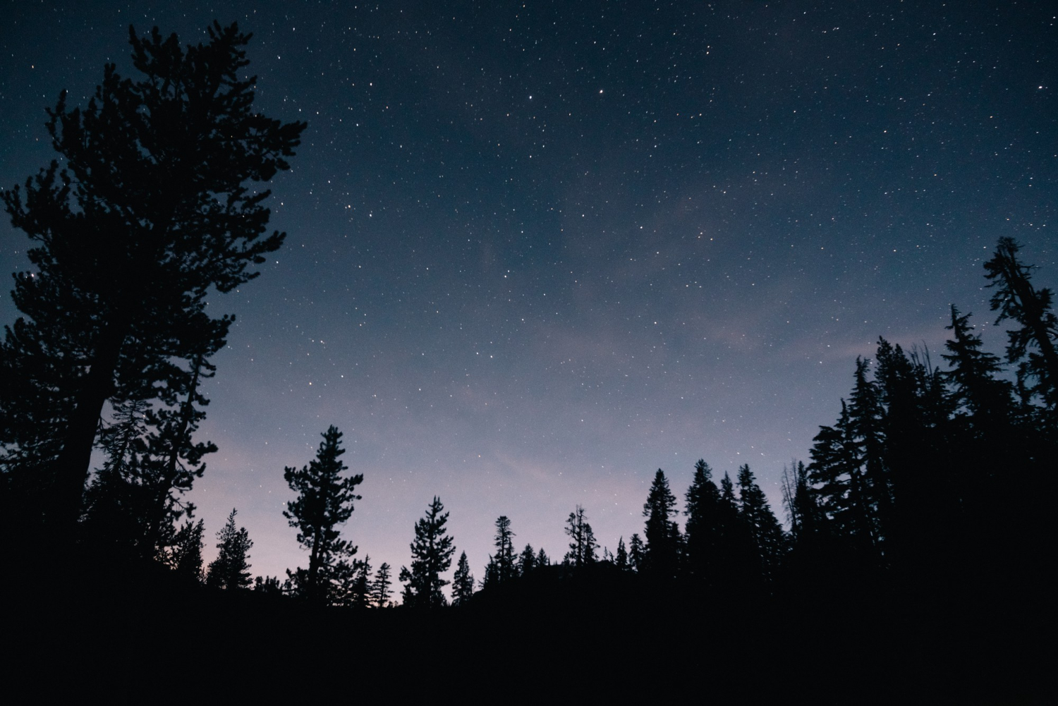 night sky stars