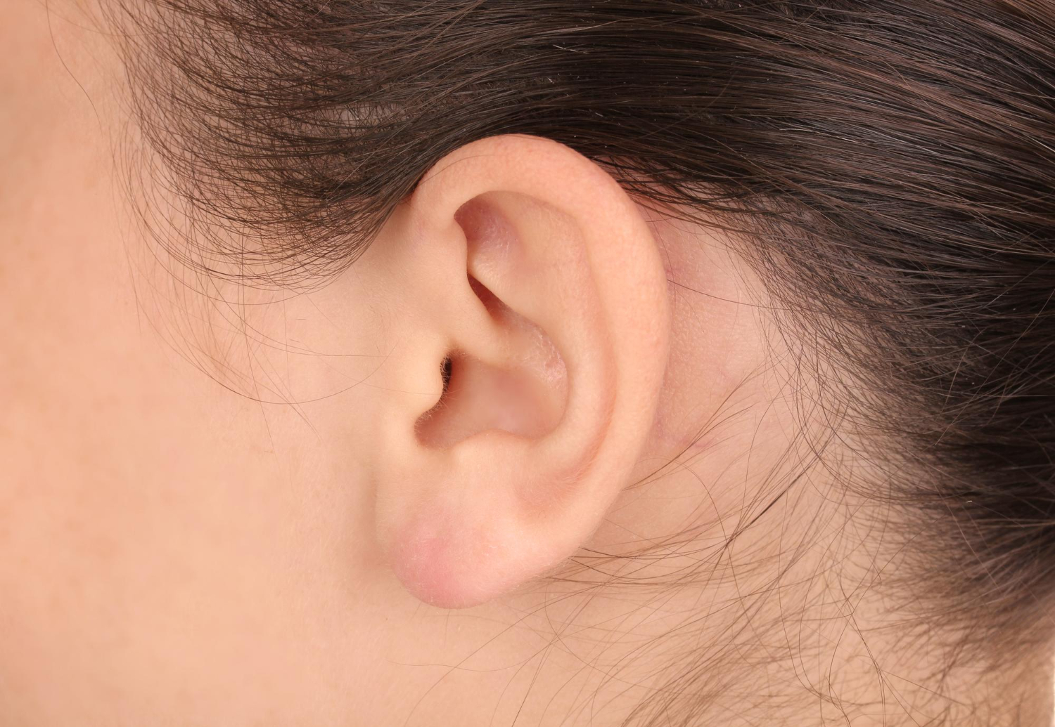 human ear