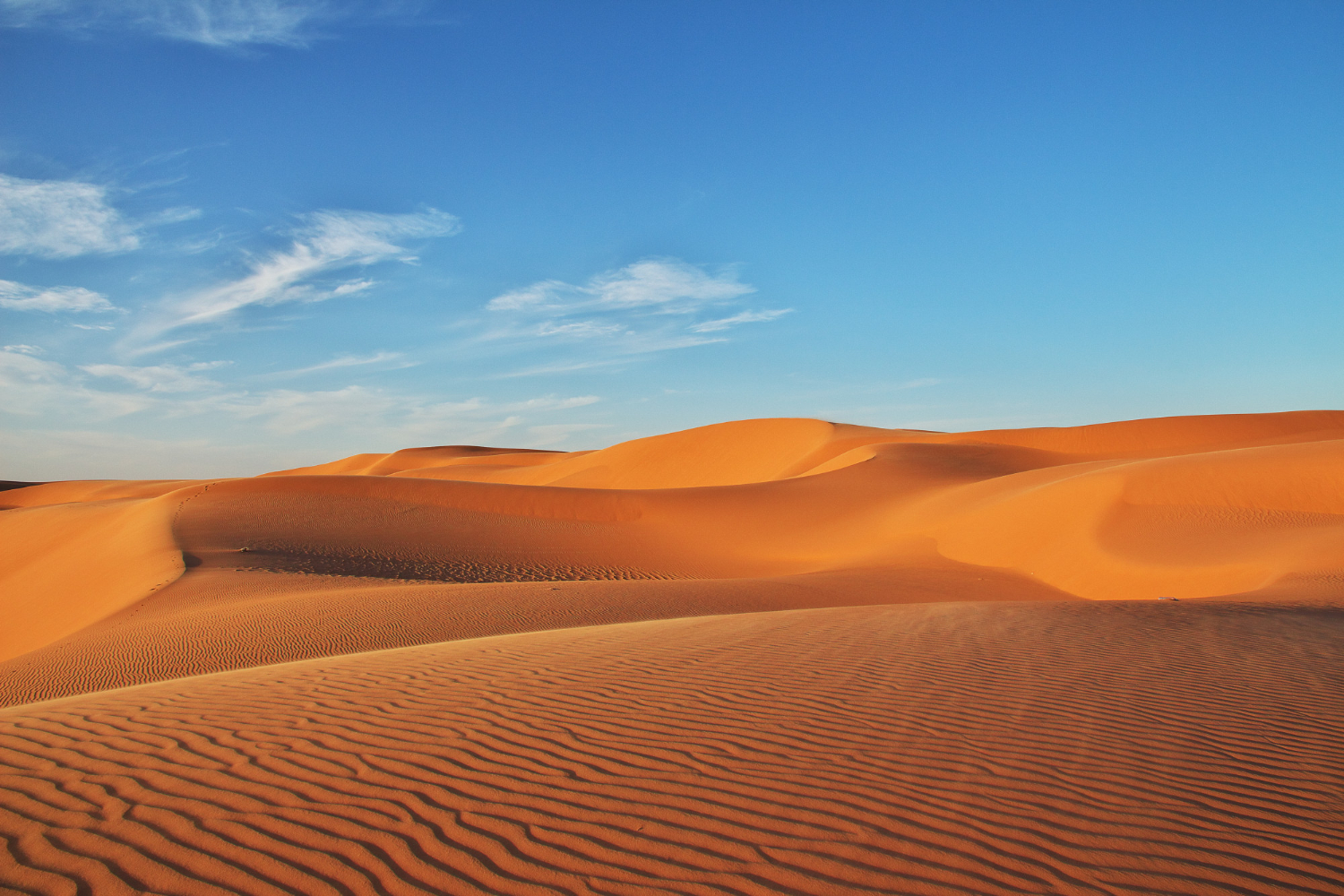 Sahara desert
