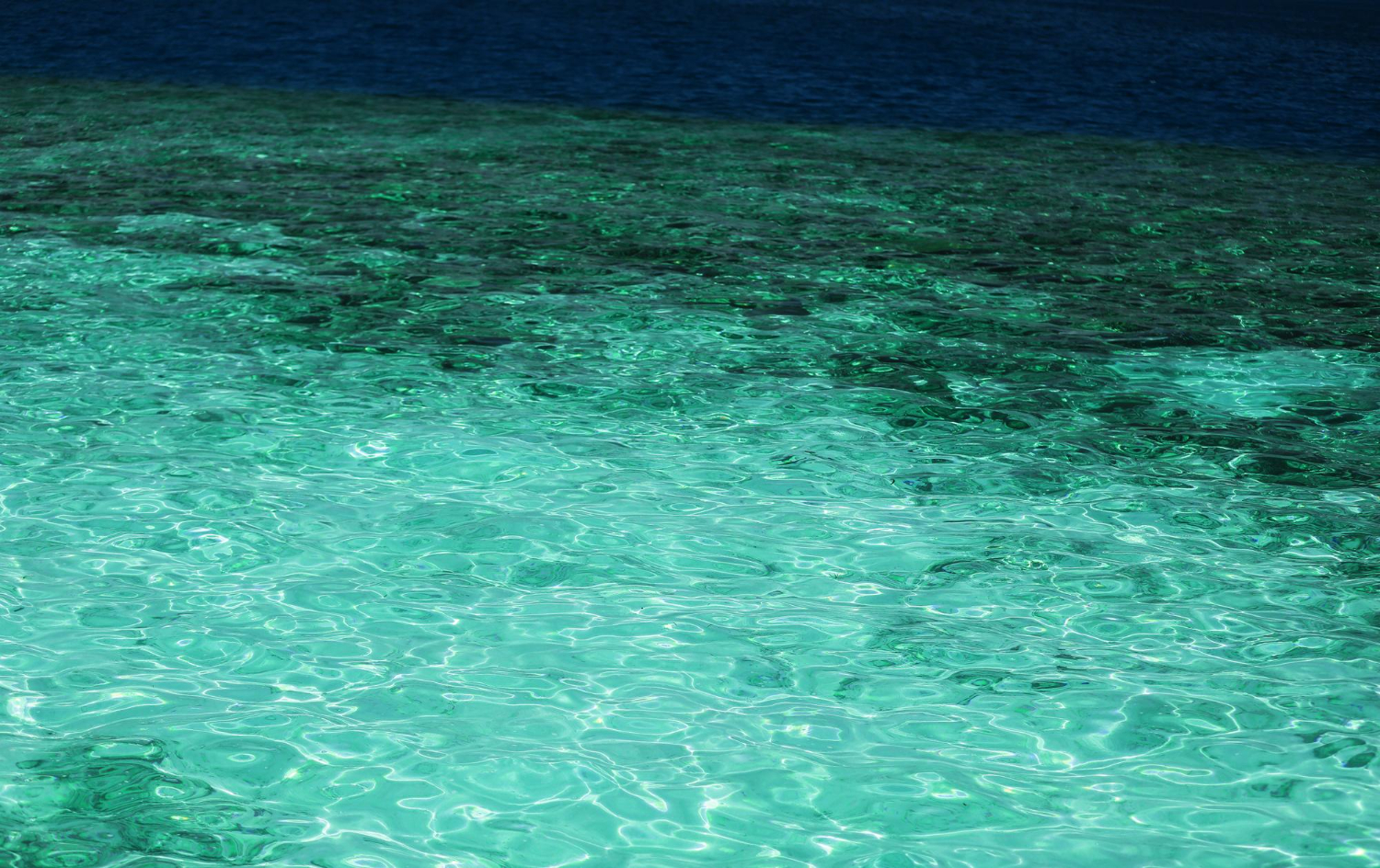 bioluminescent water