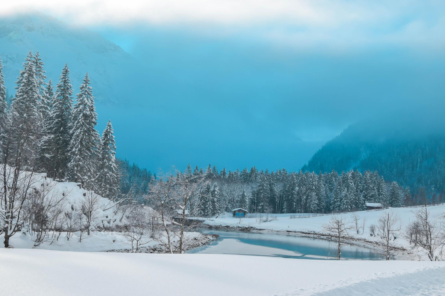 Frozen landscape