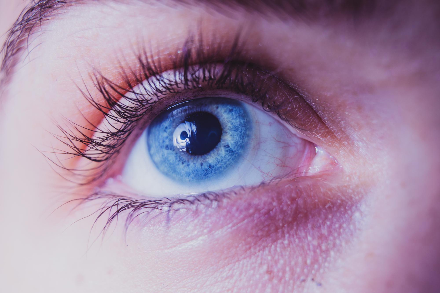 Human eye iris close up
