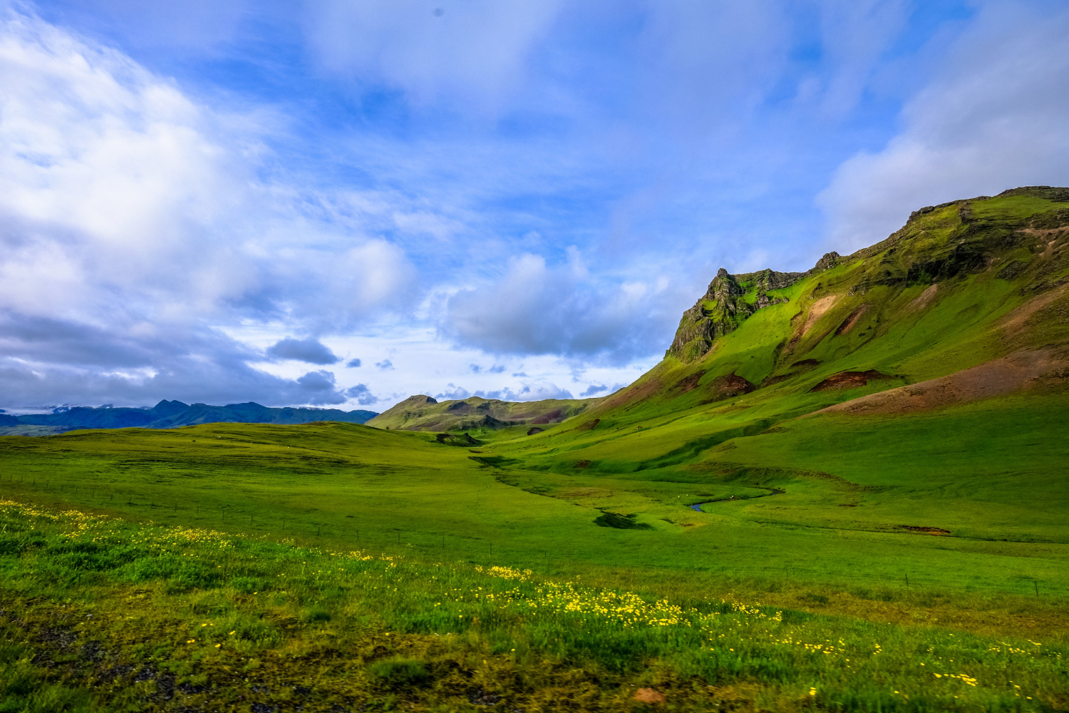grassland