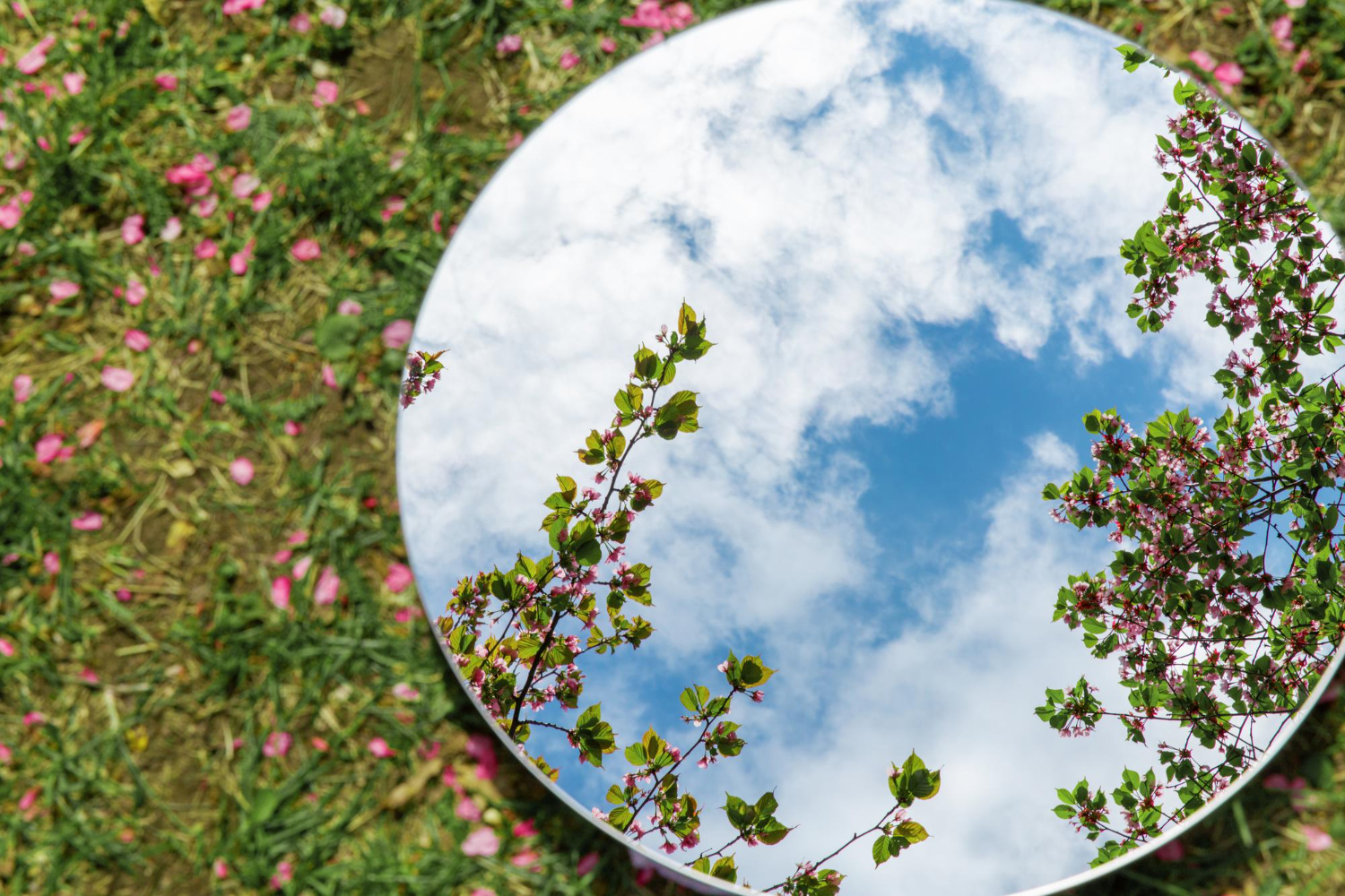 mirror reflection