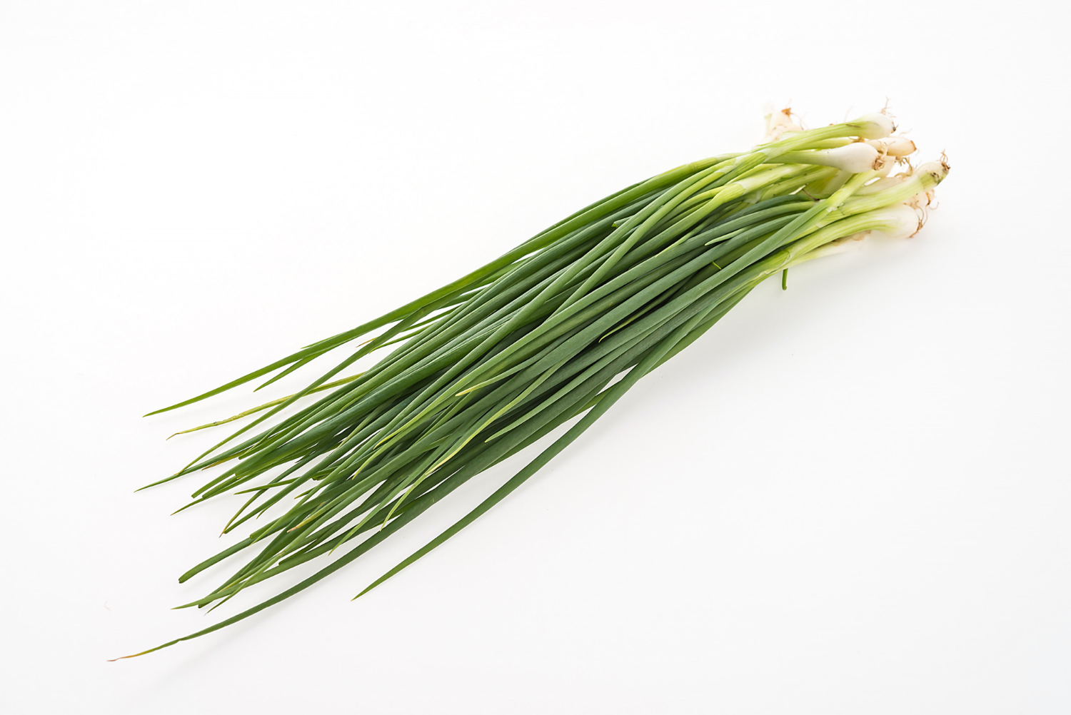Chives