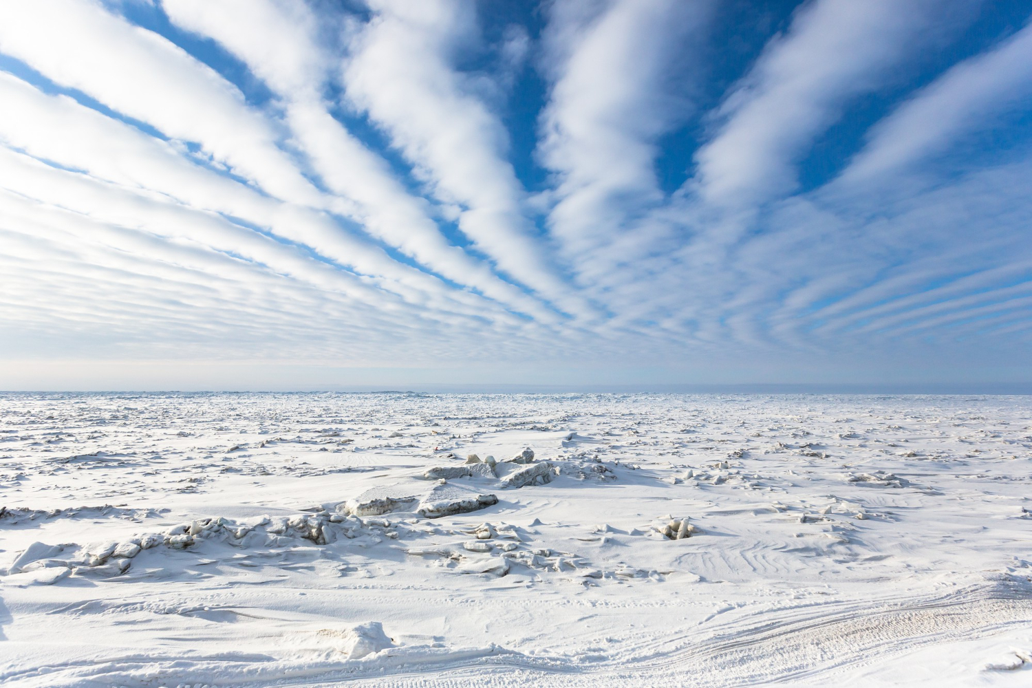 Antarctic