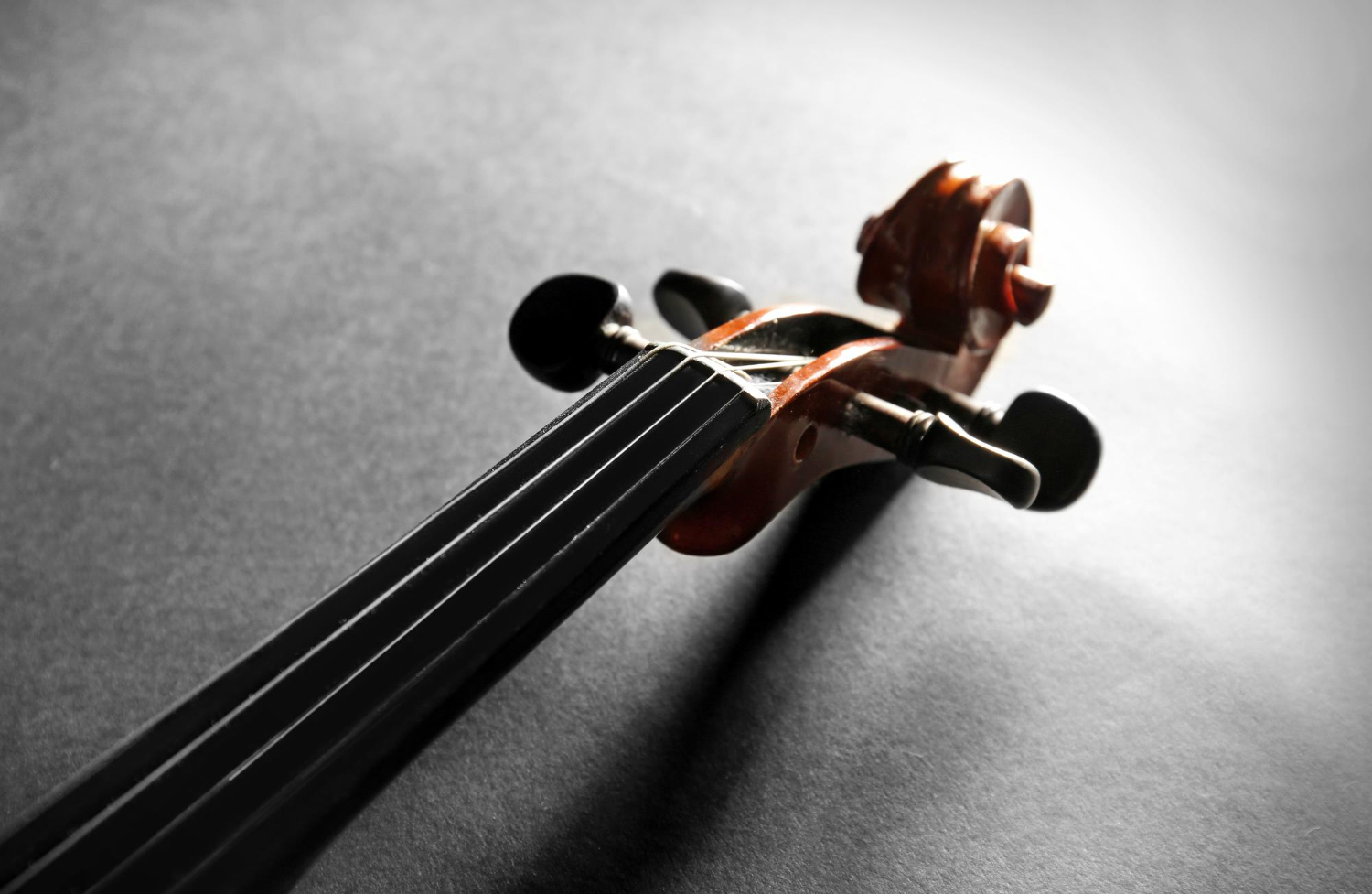 violin