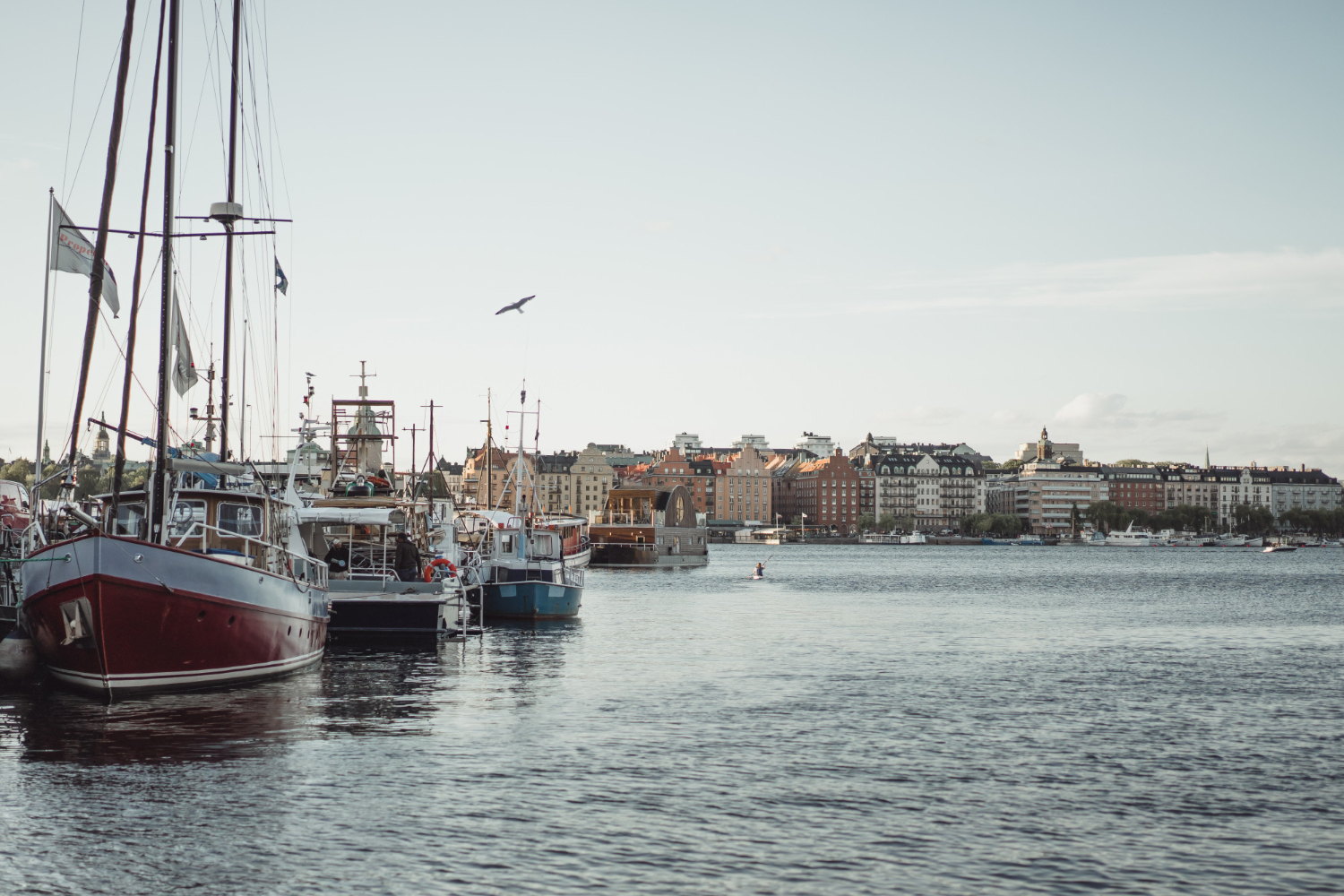 fishing harbour boats