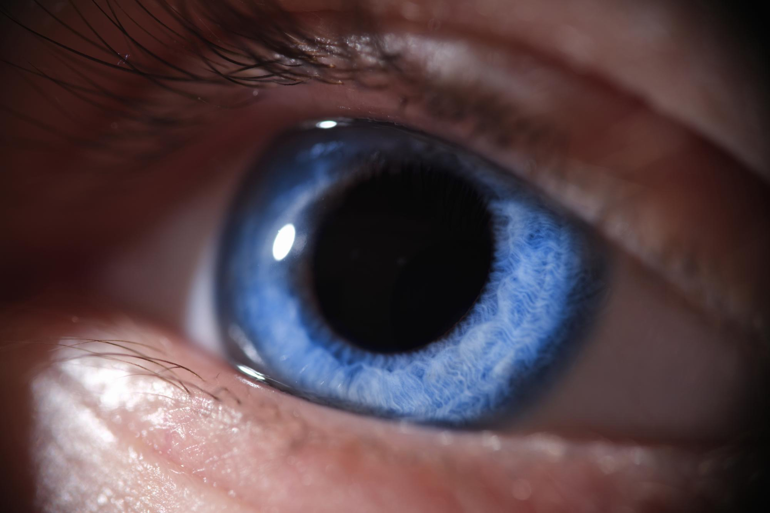 Human eye iris close up