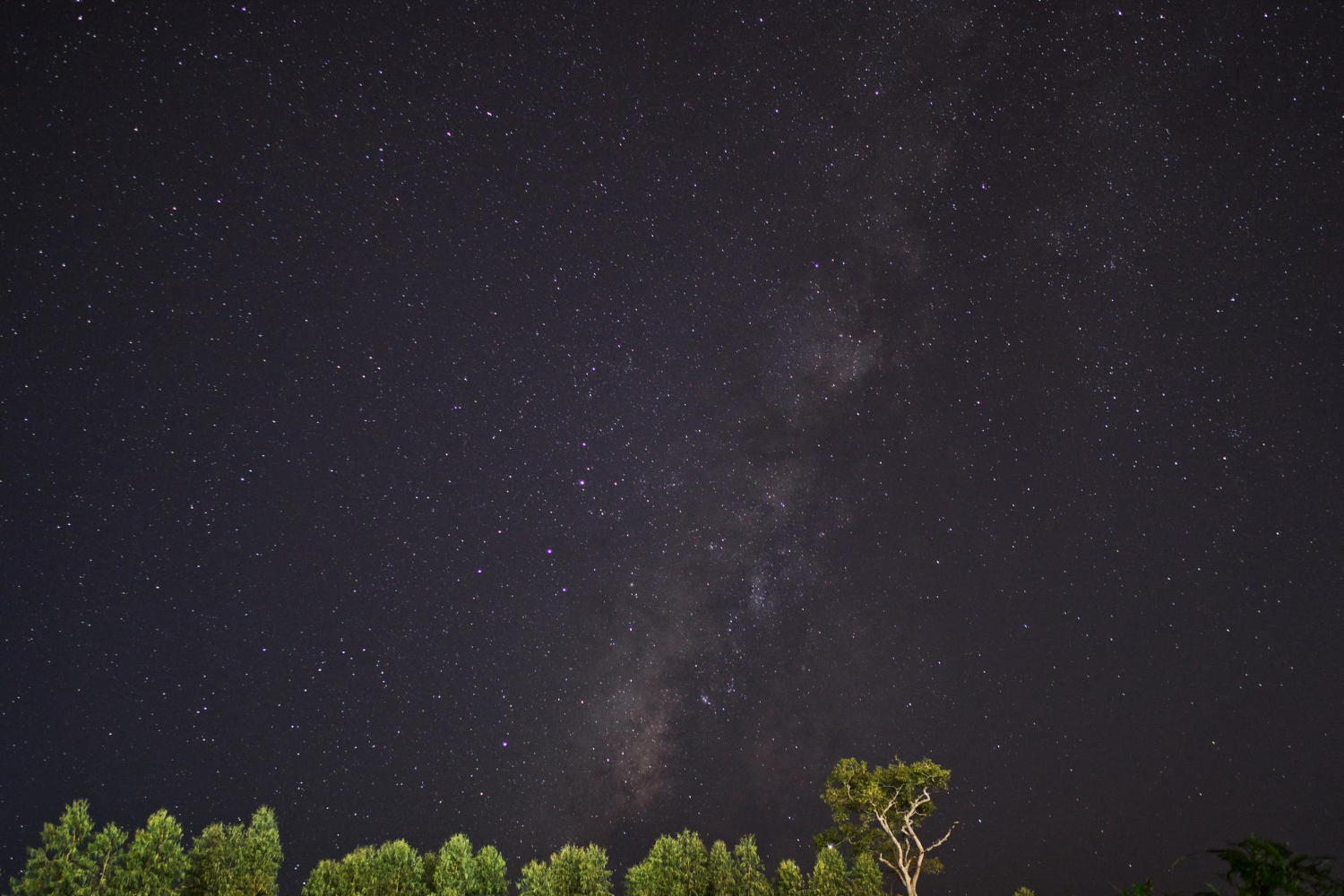 star field night sky