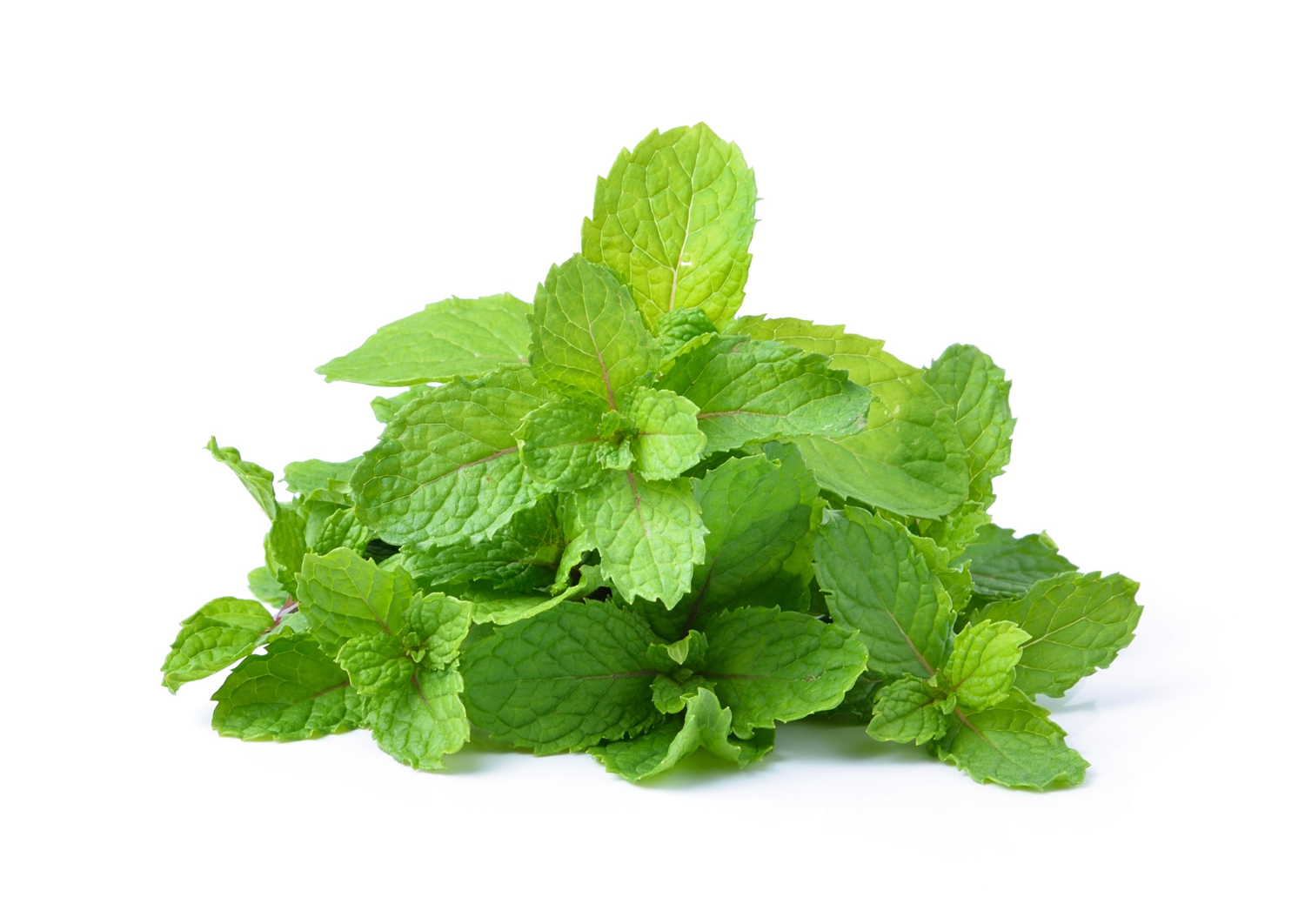 Mint