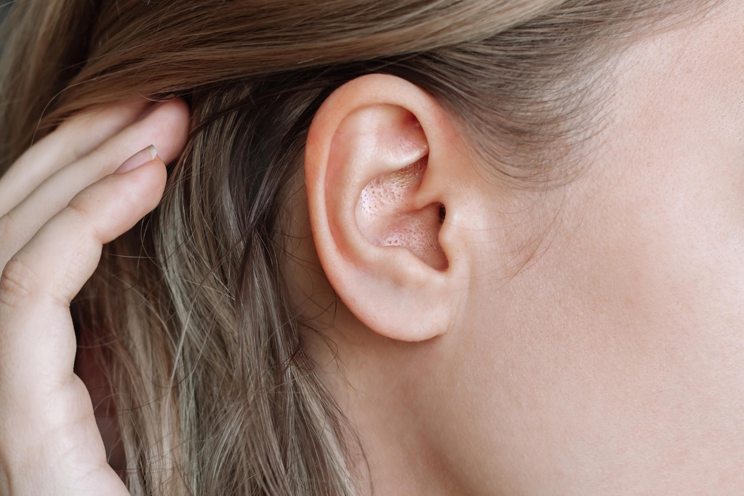 human ear