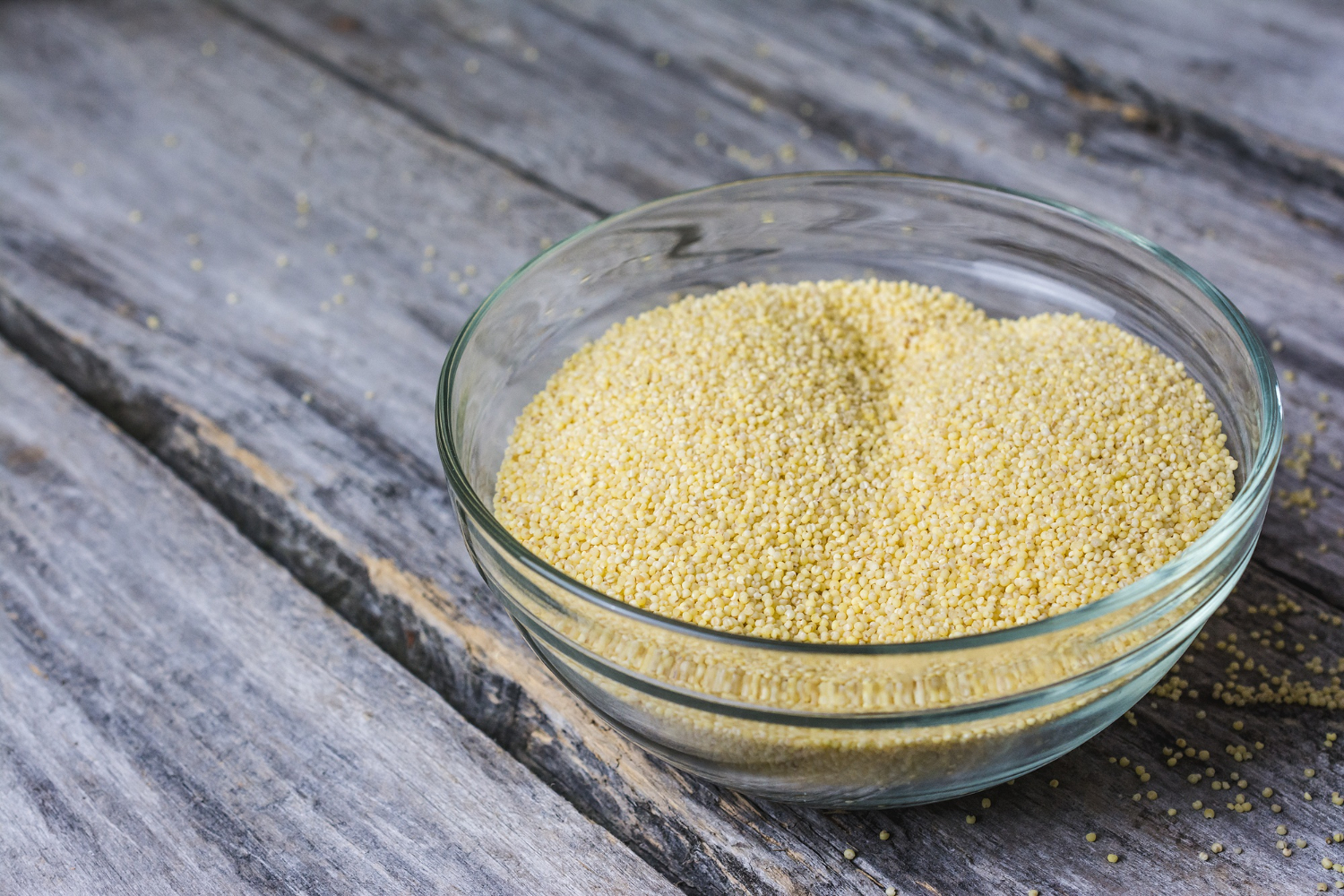yeasts