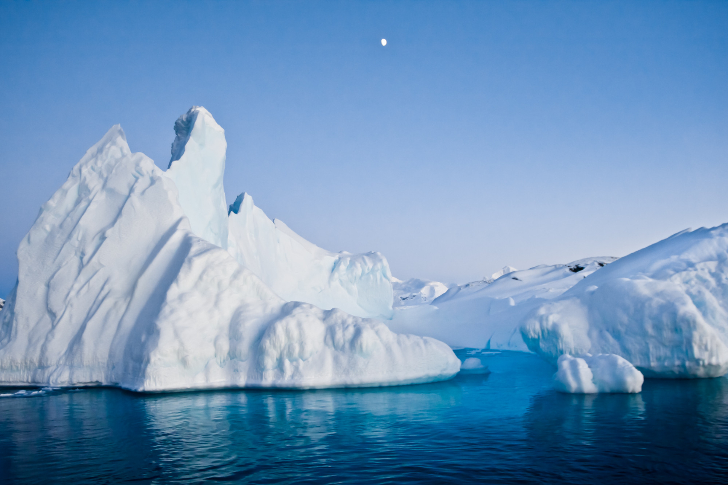 Antarctic