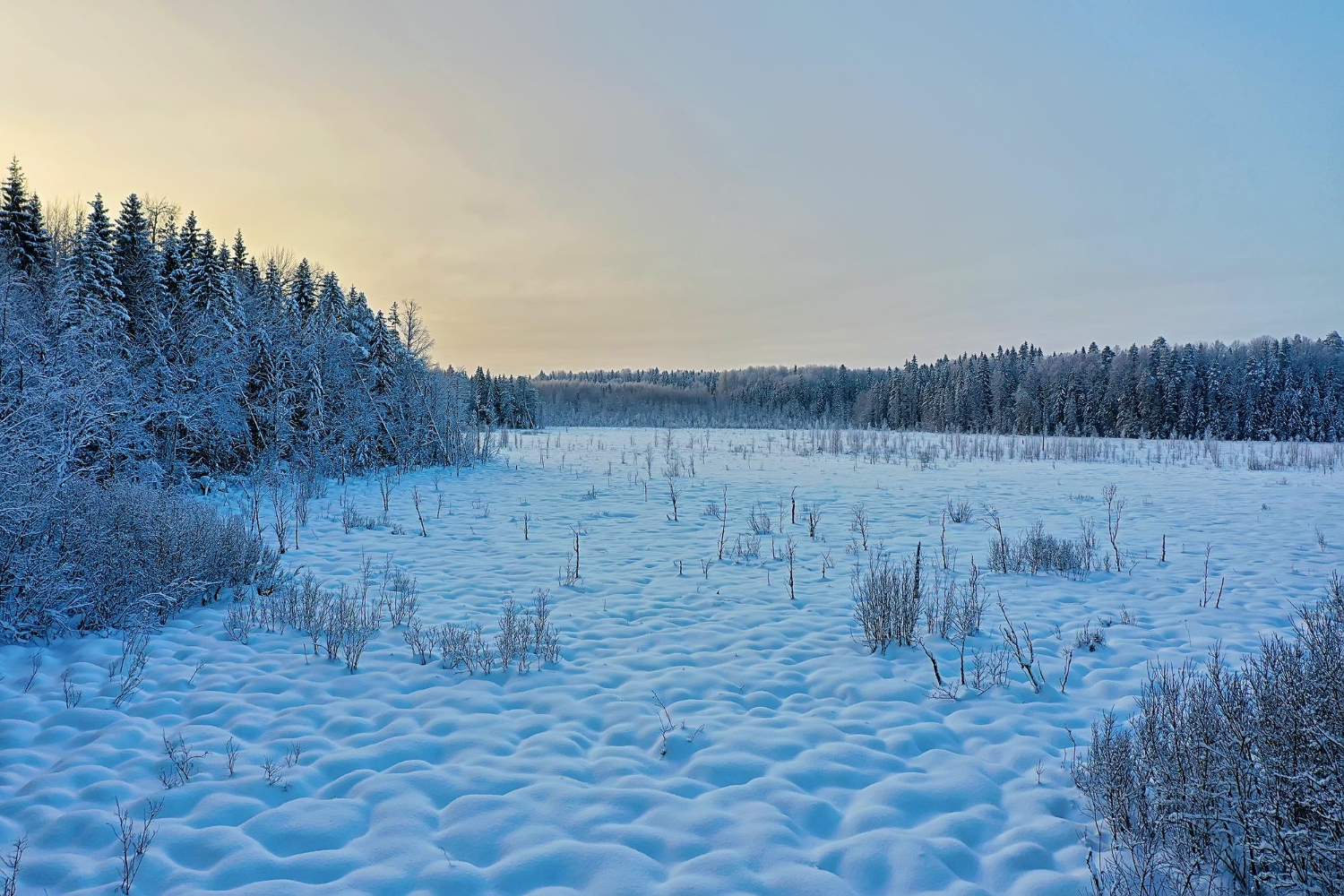 Frozen landscape