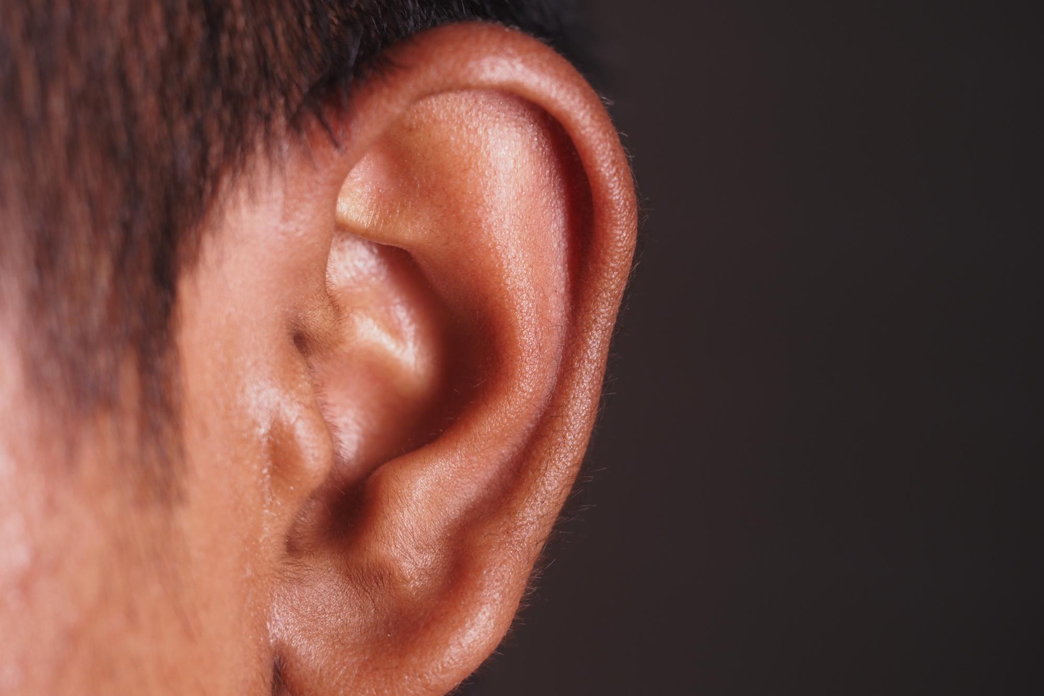human ear