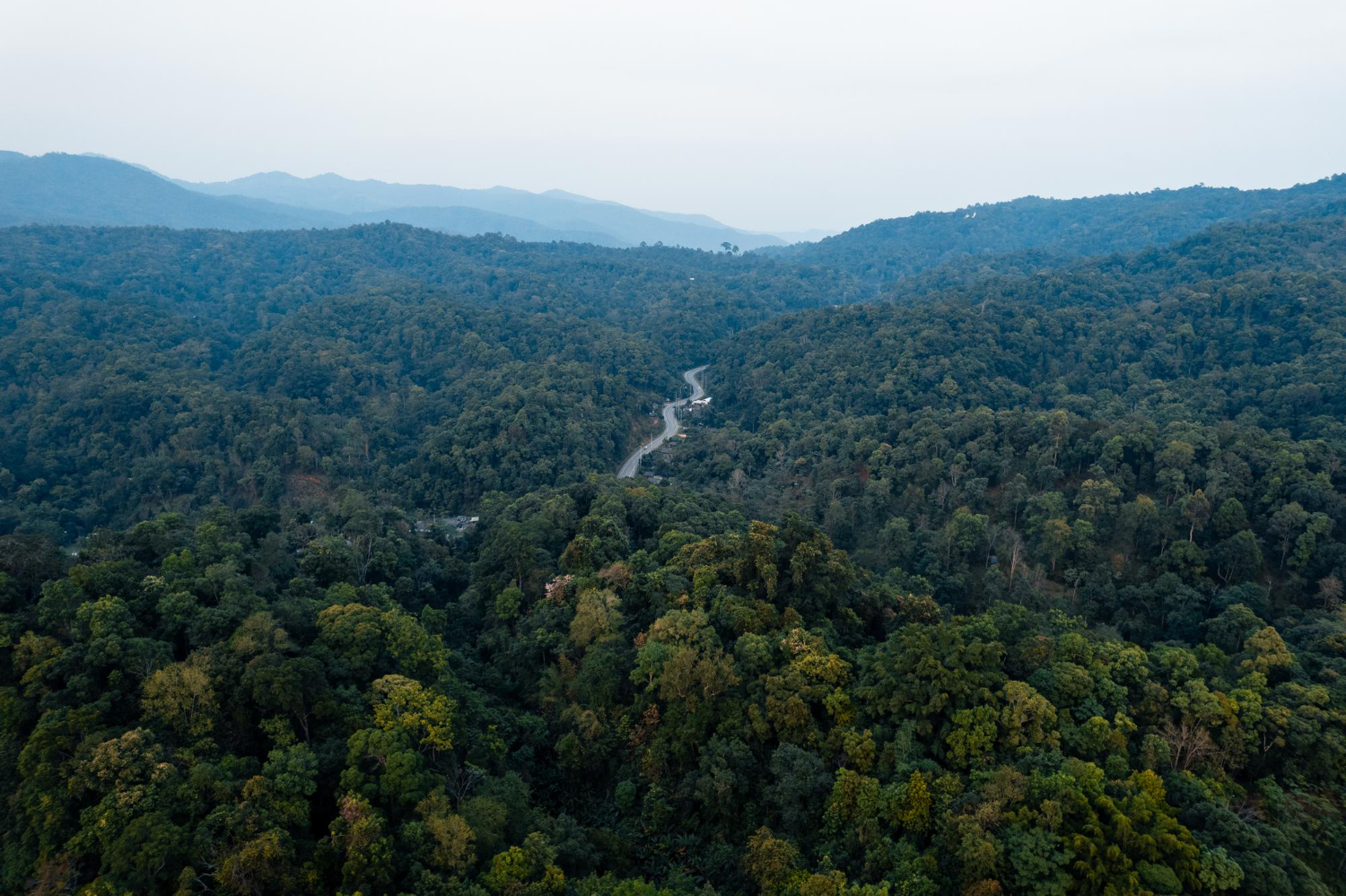 Amazon River aerial rainforest