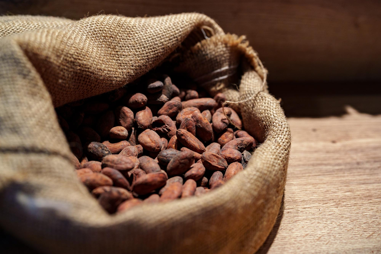 Cacao Beans Chocolate