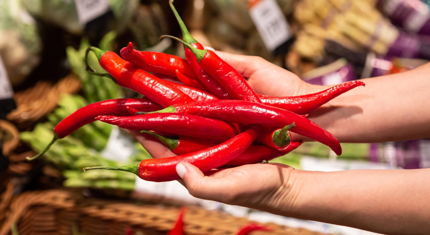 chili peppers red plant
