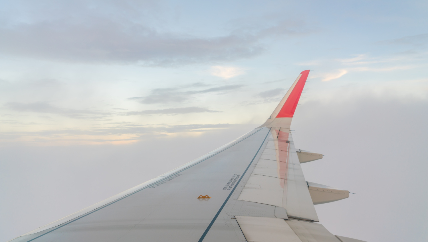 aircraft wing