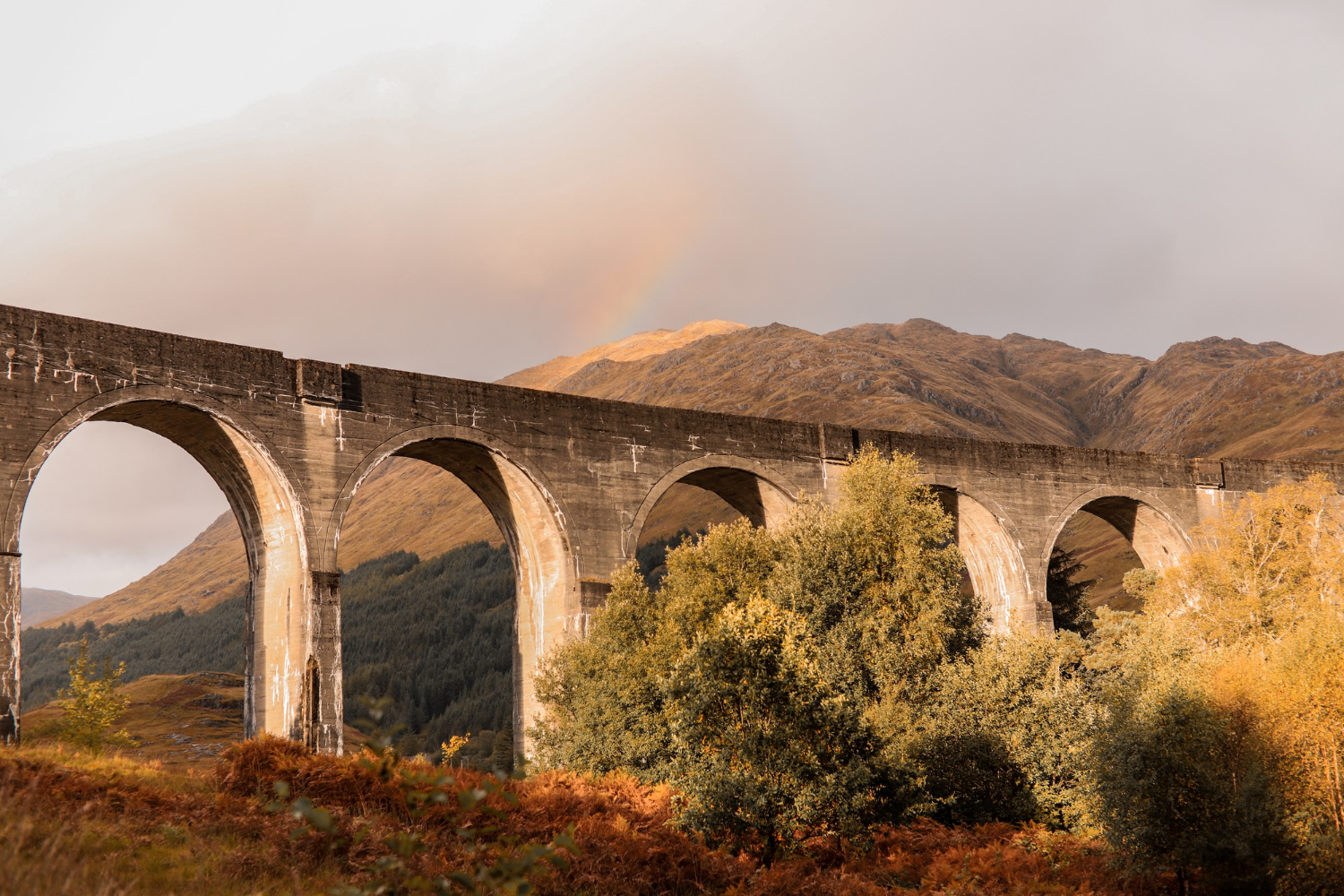 Bridge