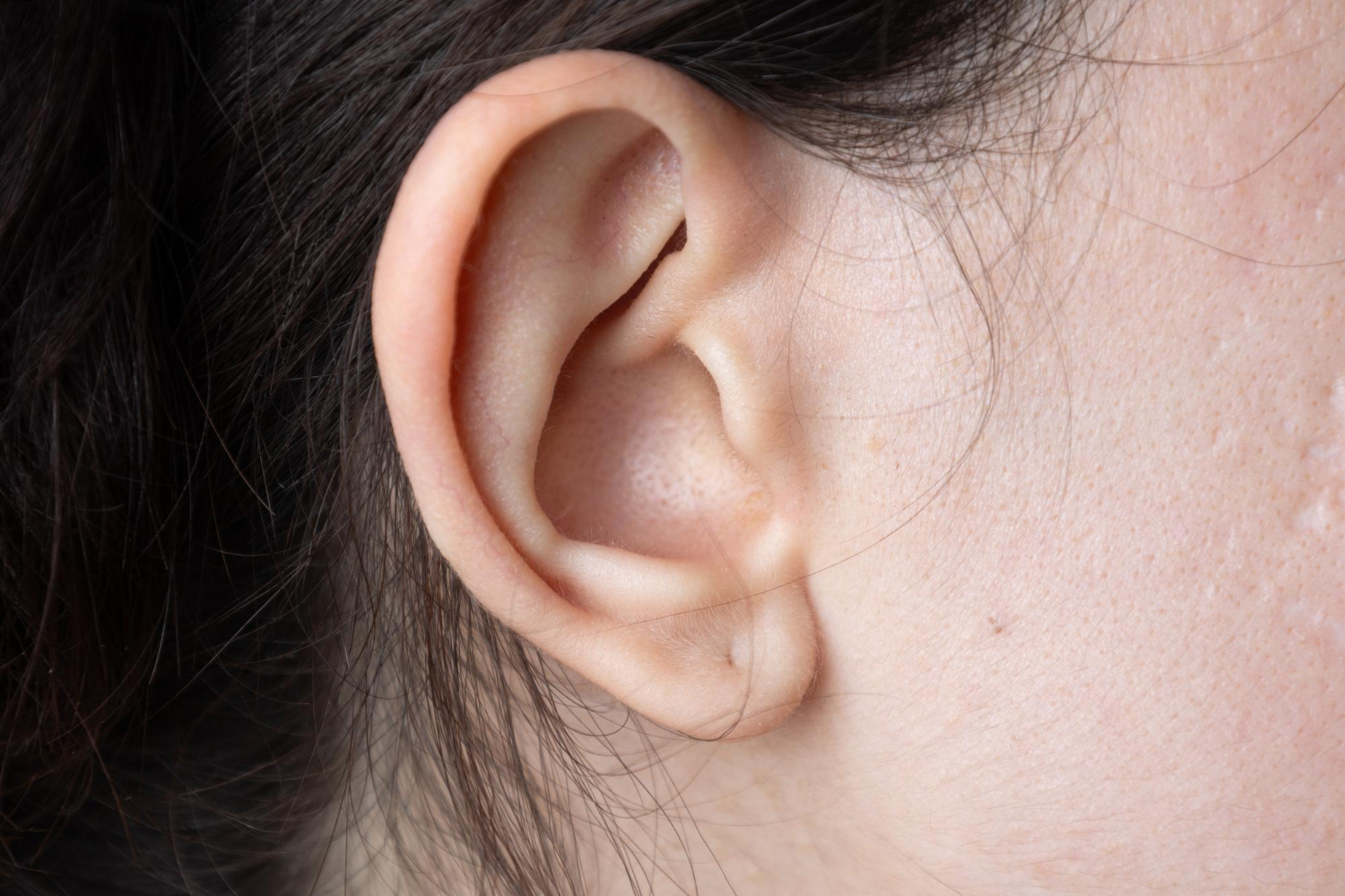 human ear