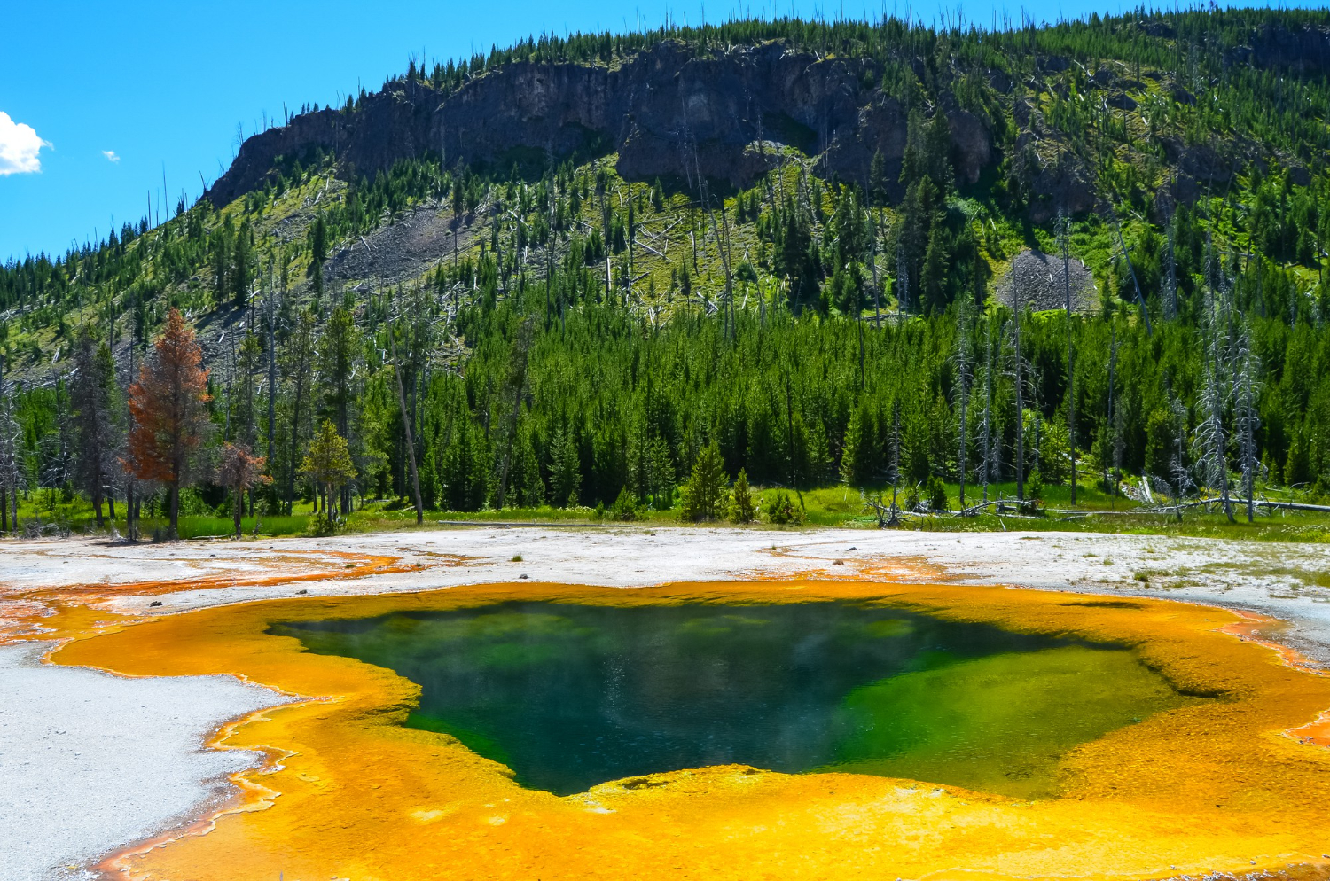 geothermal