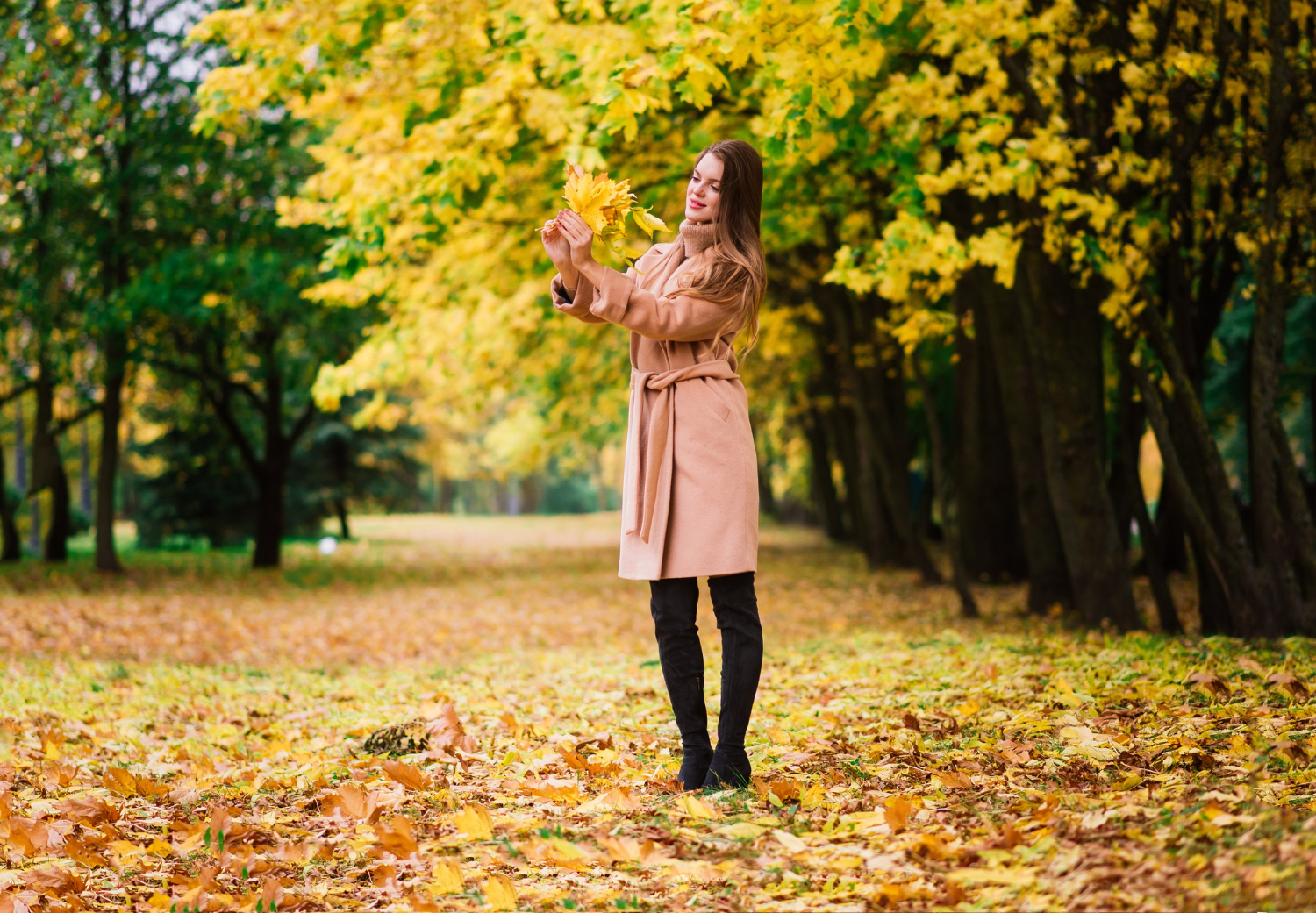 Autumn Season