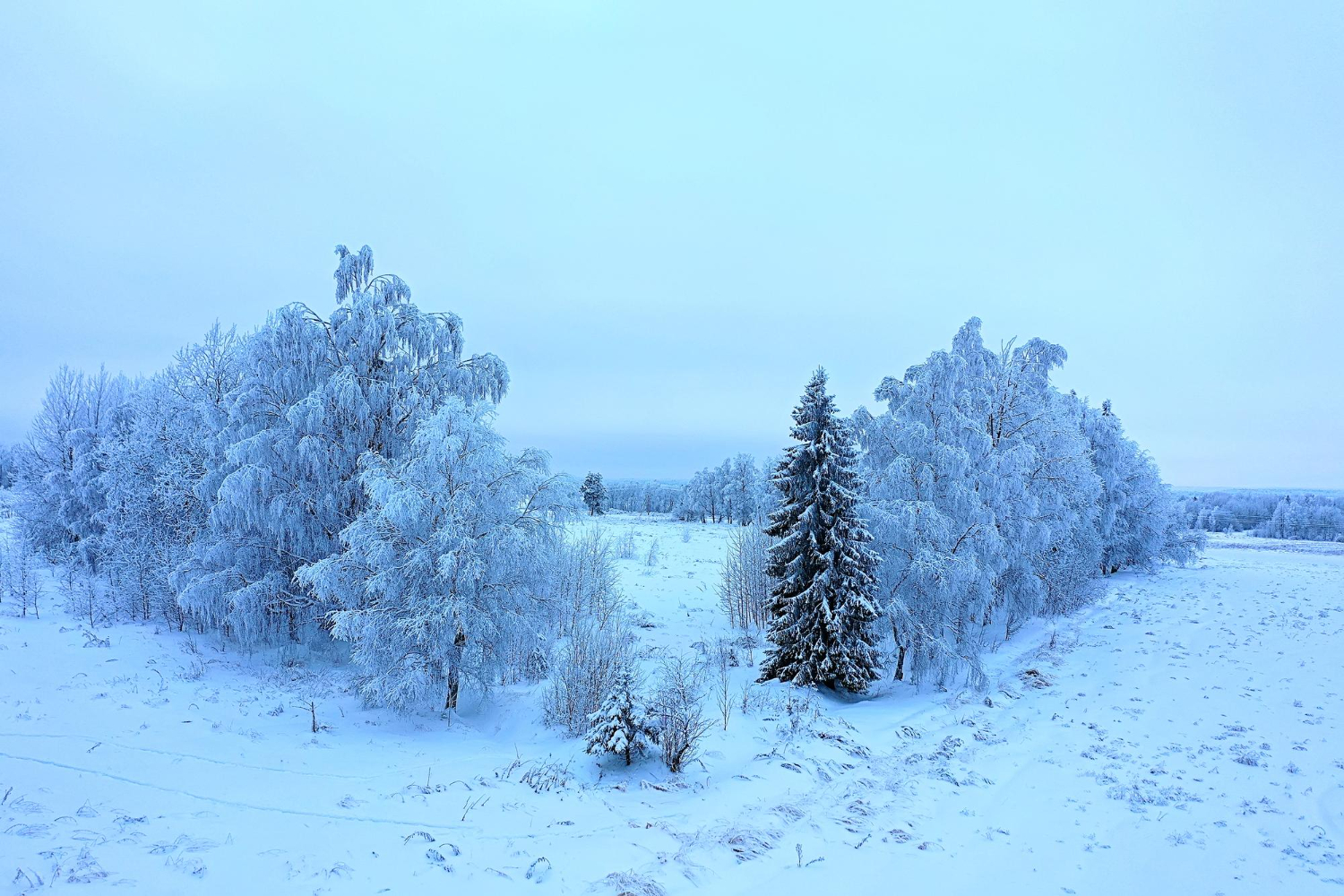 Frozen landscape