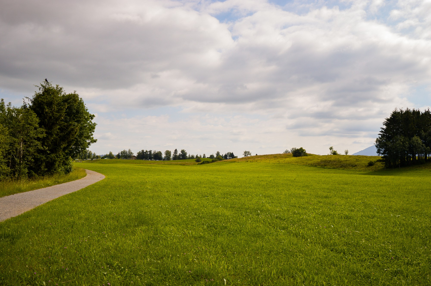 grassland