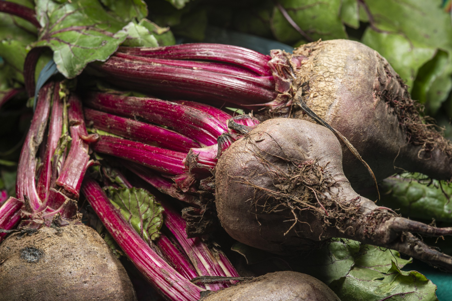 root vegetables