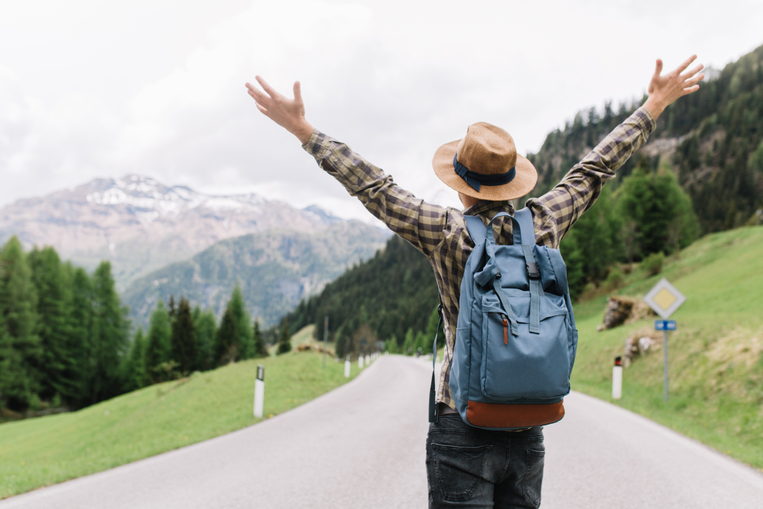 traveler
