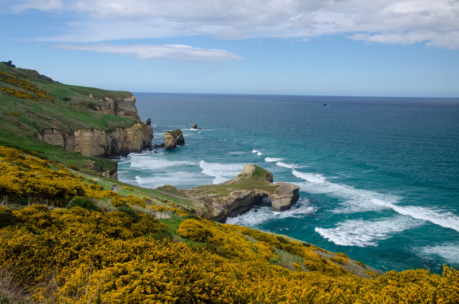 New Zealand coastline