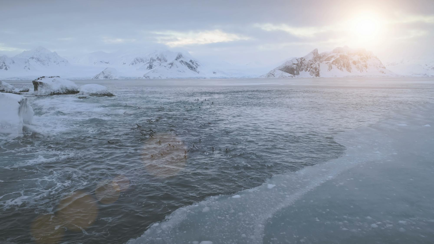 Antarctic ice sheet